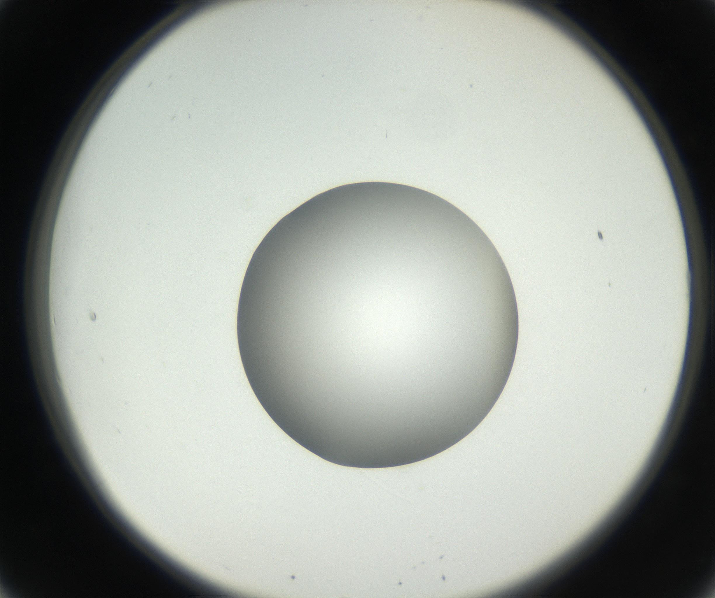 RI01_03_000_0212_Proj1_Clon1_MC_0000MC102636_003_160814_08_02_02_00_99_002_001_RAI.jpg