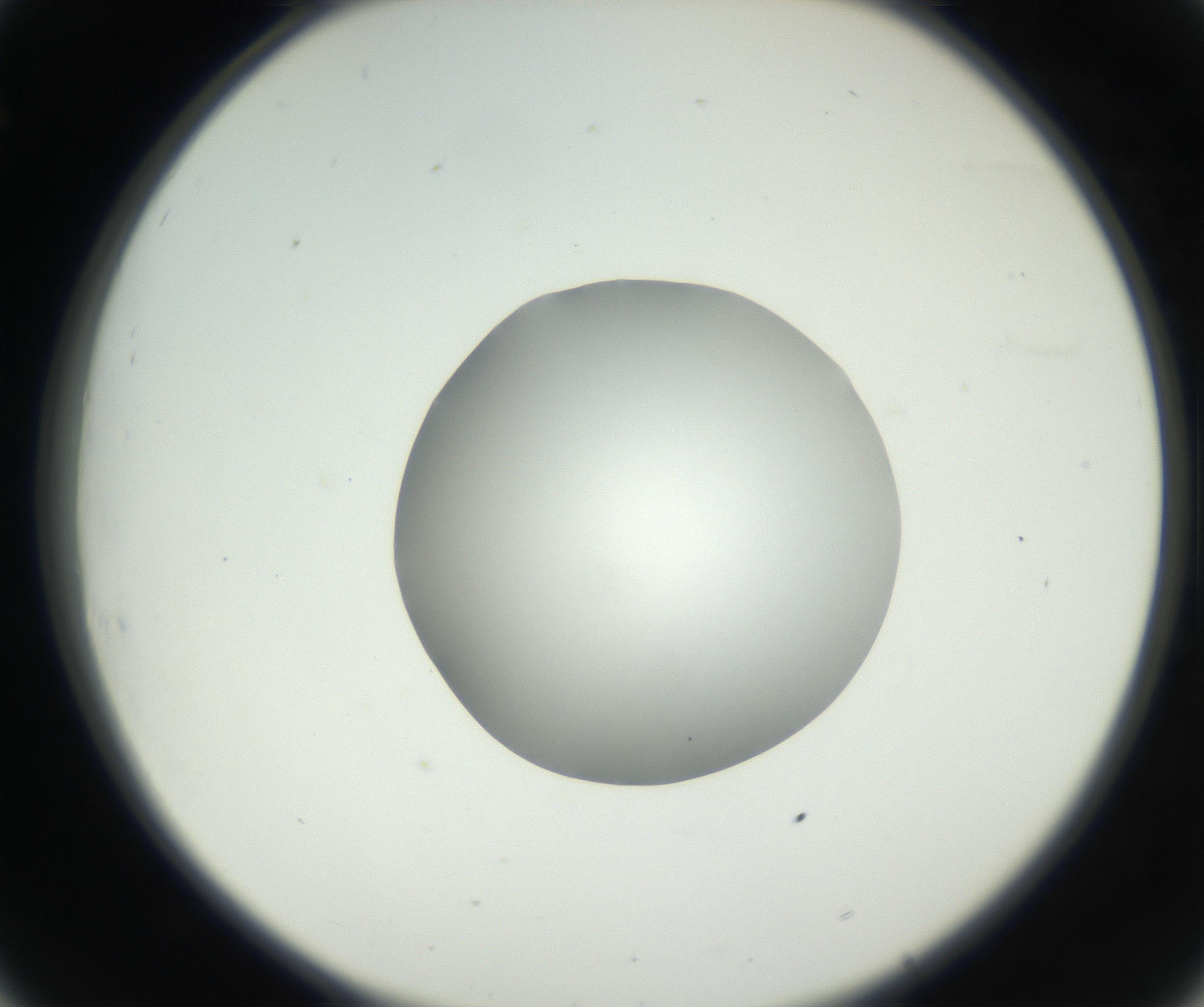 RI01_03_000_0212_Proj1_Clon1_MC_0000MC102636_003_160814_08_03_02_00_99_002_001_RAI.jpg
