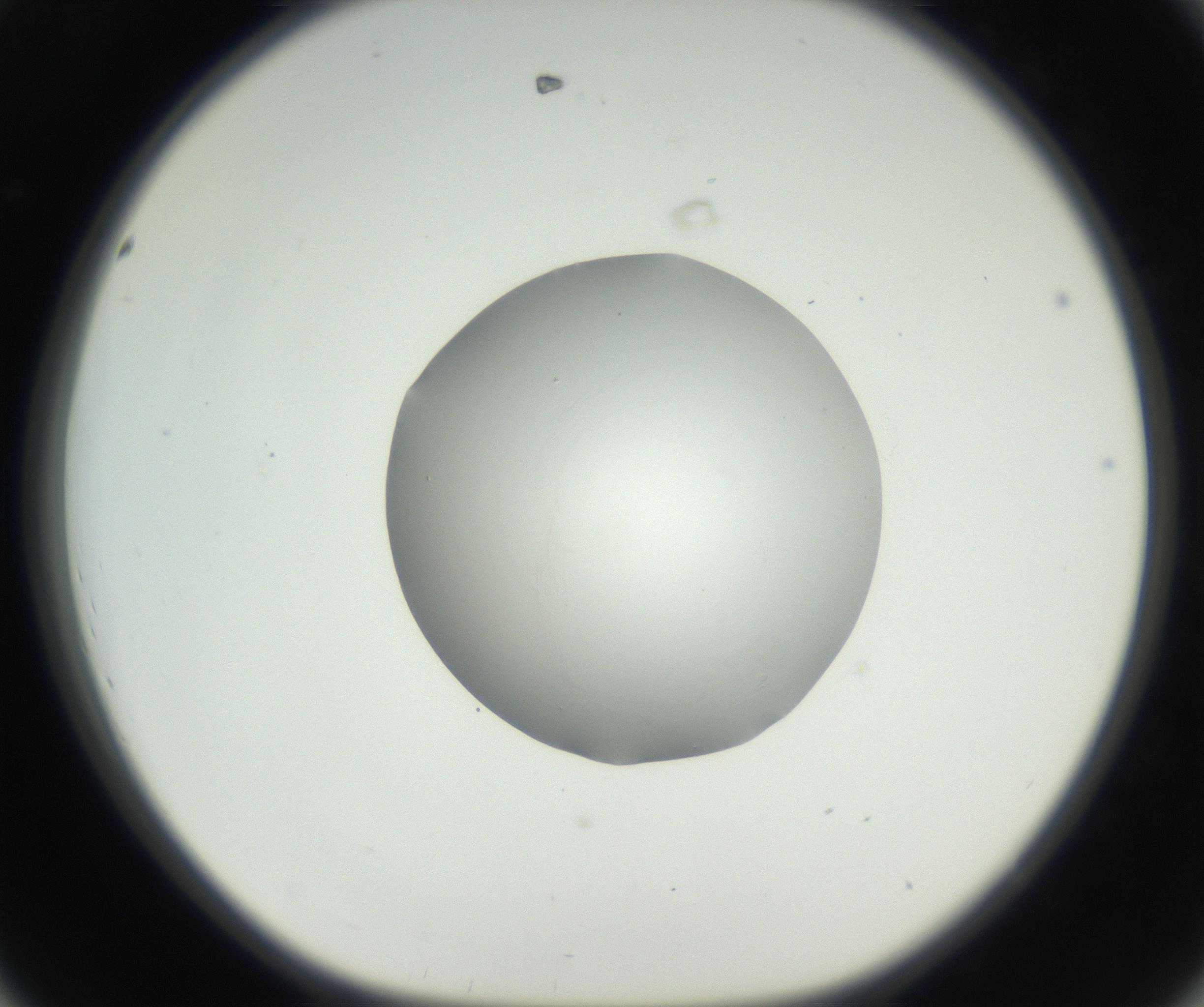 RI01_03_000_0212_Proj1_Clon1_MC_0000MC102636_003_160814_08_04_01_00_99_002_001_RAI.jpg