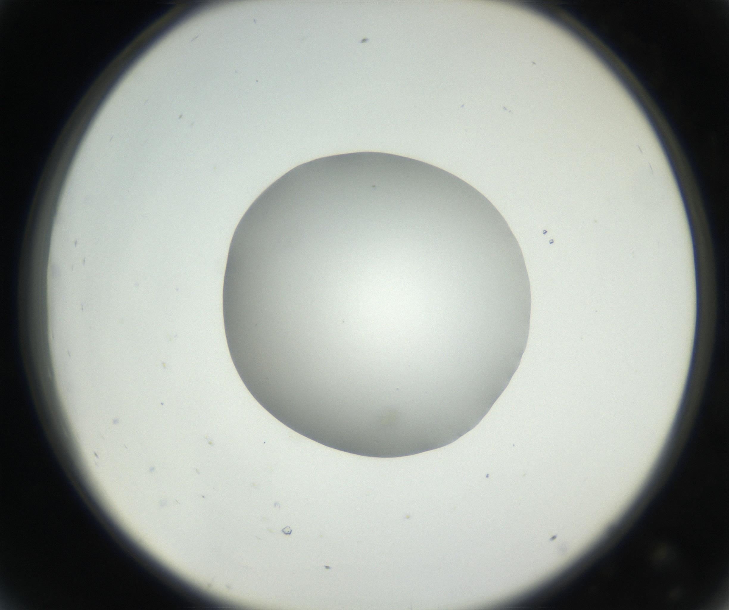 RI01_03_000_0212_Proj1_Clon1_MC_0000MC102636_003_160814_08_04_02_00_99_002_001_RAI.jpg