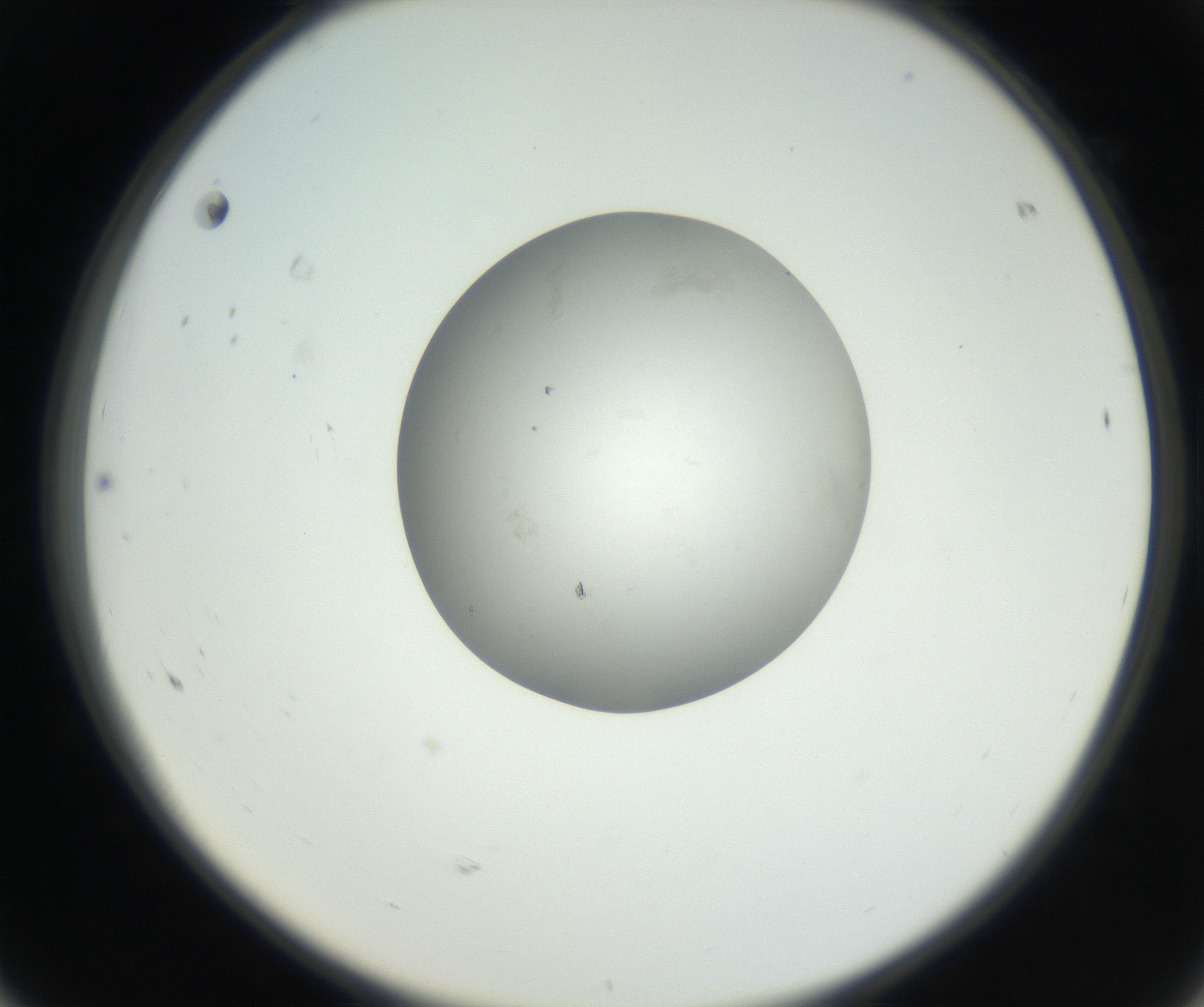RI01_03_000_0212_Proj1_Clon1_MC_0000MC102636_003_160814_08_06_02_00_99_002_001_RAI.jpg