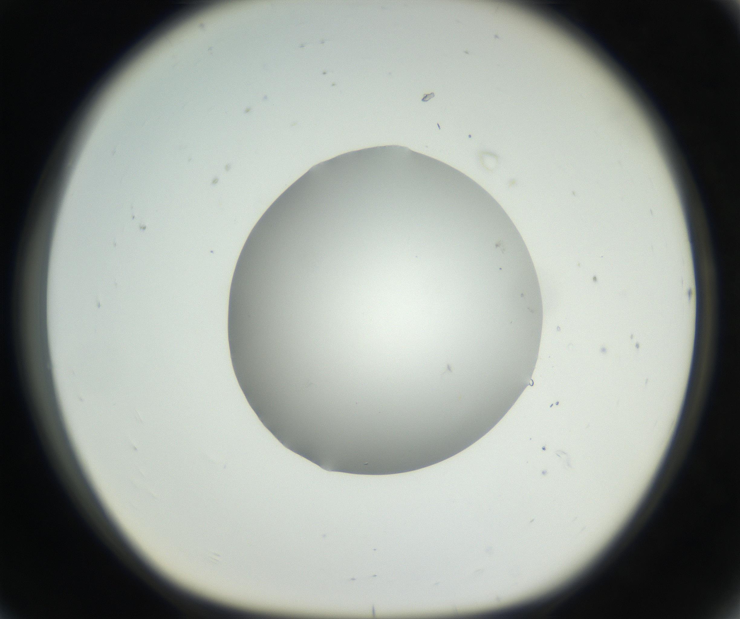 RI01_03_000_0212_Proj1_Clon1_MC_0000MC102636_003_160814_08_07_01_00_99_002_001_RAI.jpg