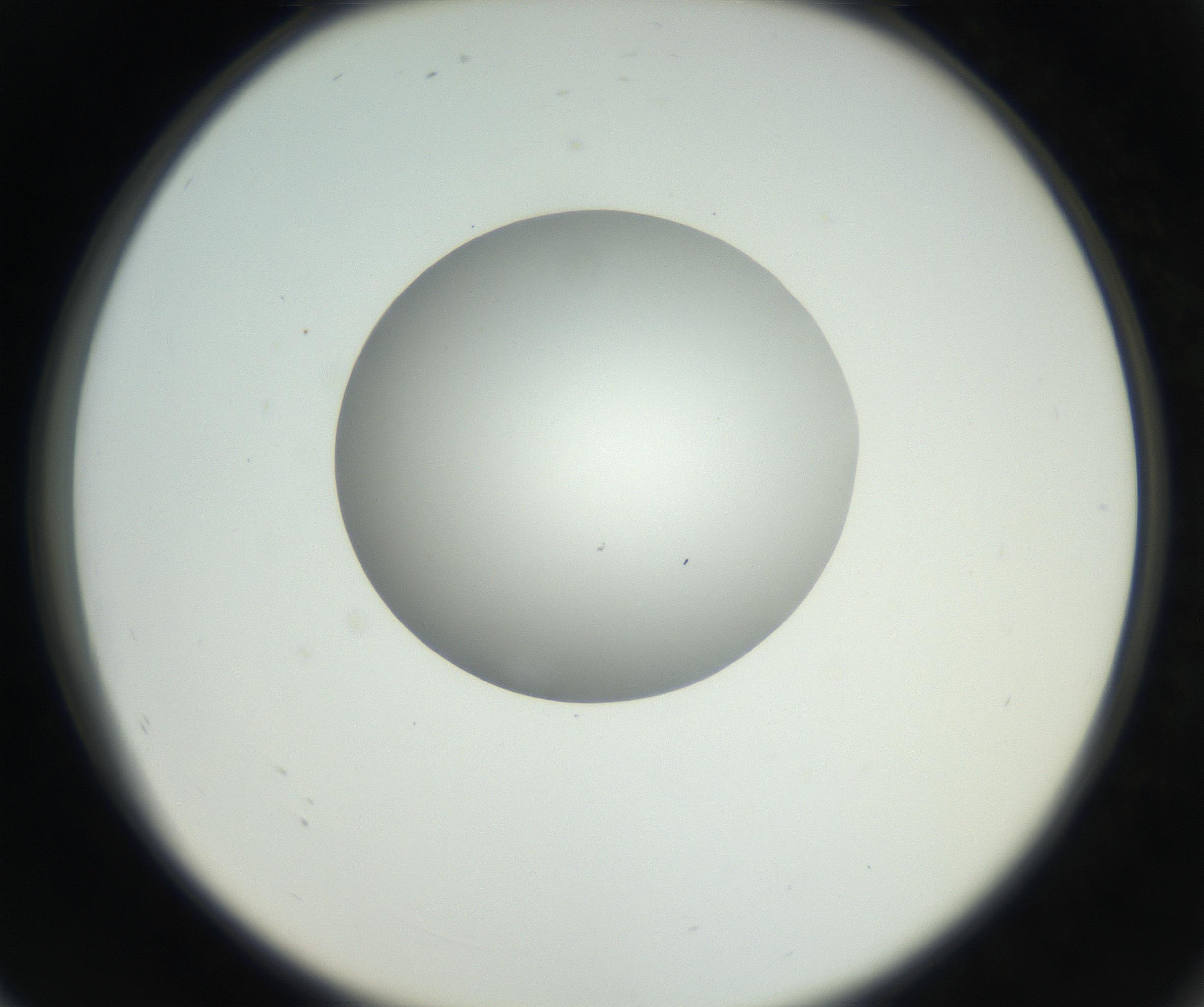RI01_03_000_0212_Proj1_Clon1_MC_0000MC102636_003_160814_08_07_02_00_99_002_001_RAI.jpg