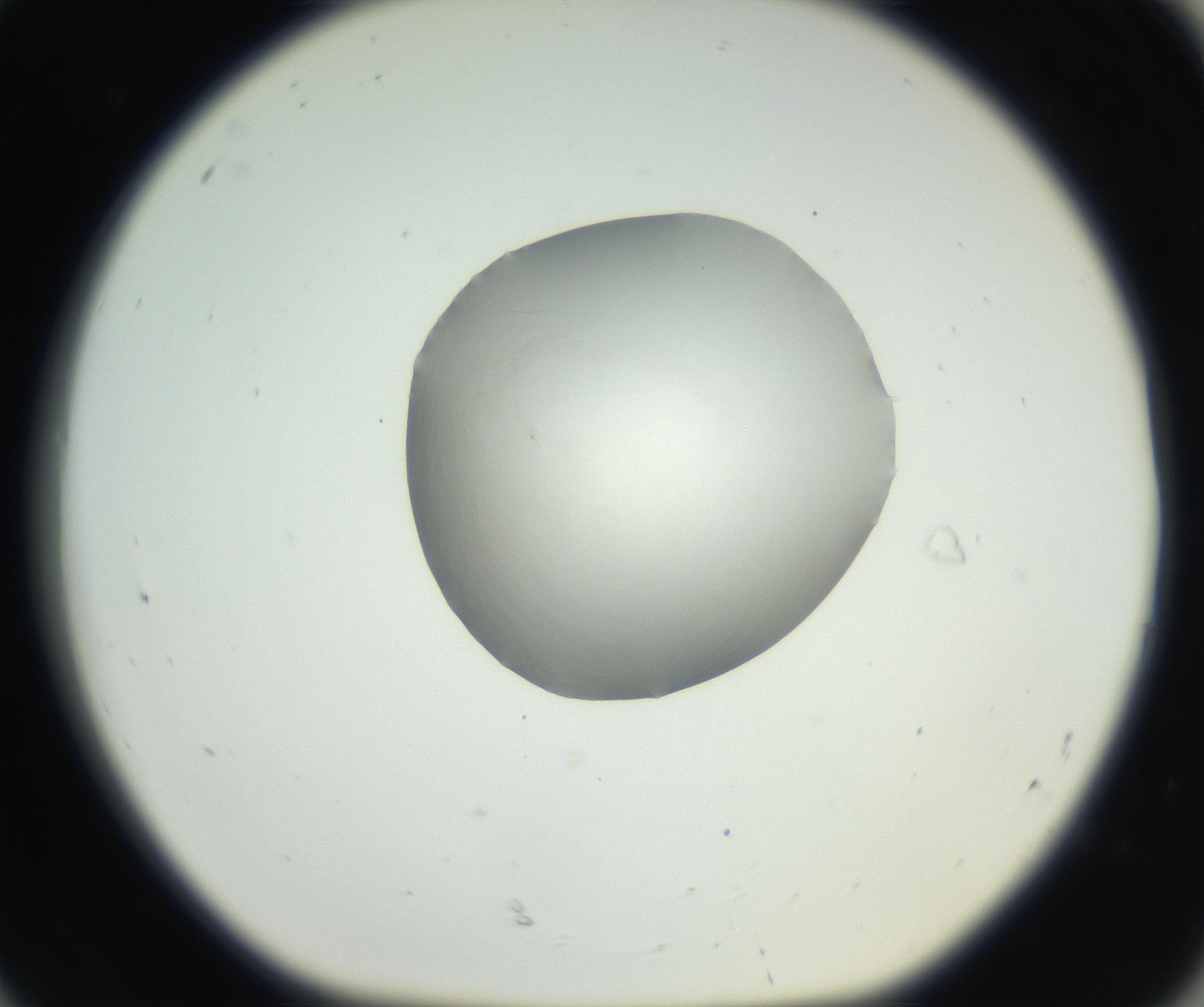 RI01_03_000_0212_Proj1_Clon1_MC_0000MC102636_003_160814_08_08_01_00_99_002_001_RAI.jpg