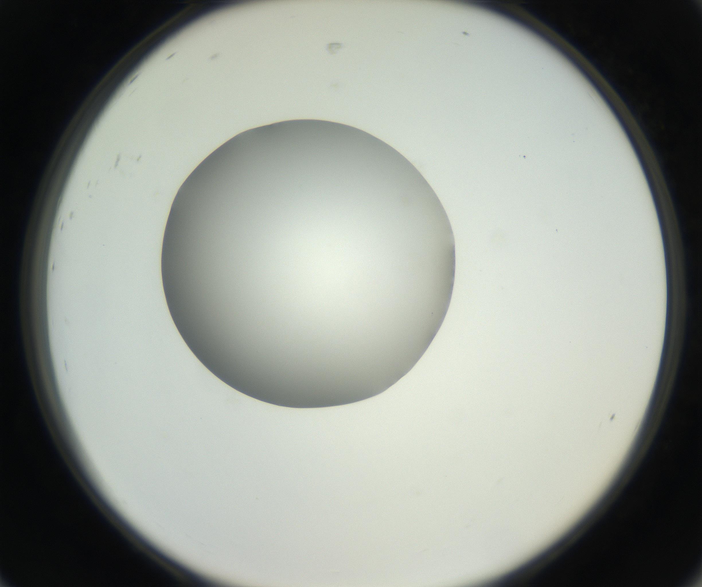 RI01_03_000_0212_Proj1_Clon1_MC_0000MC102636_003_160814_08_08_02_00_99_002_001_RAI.jpg