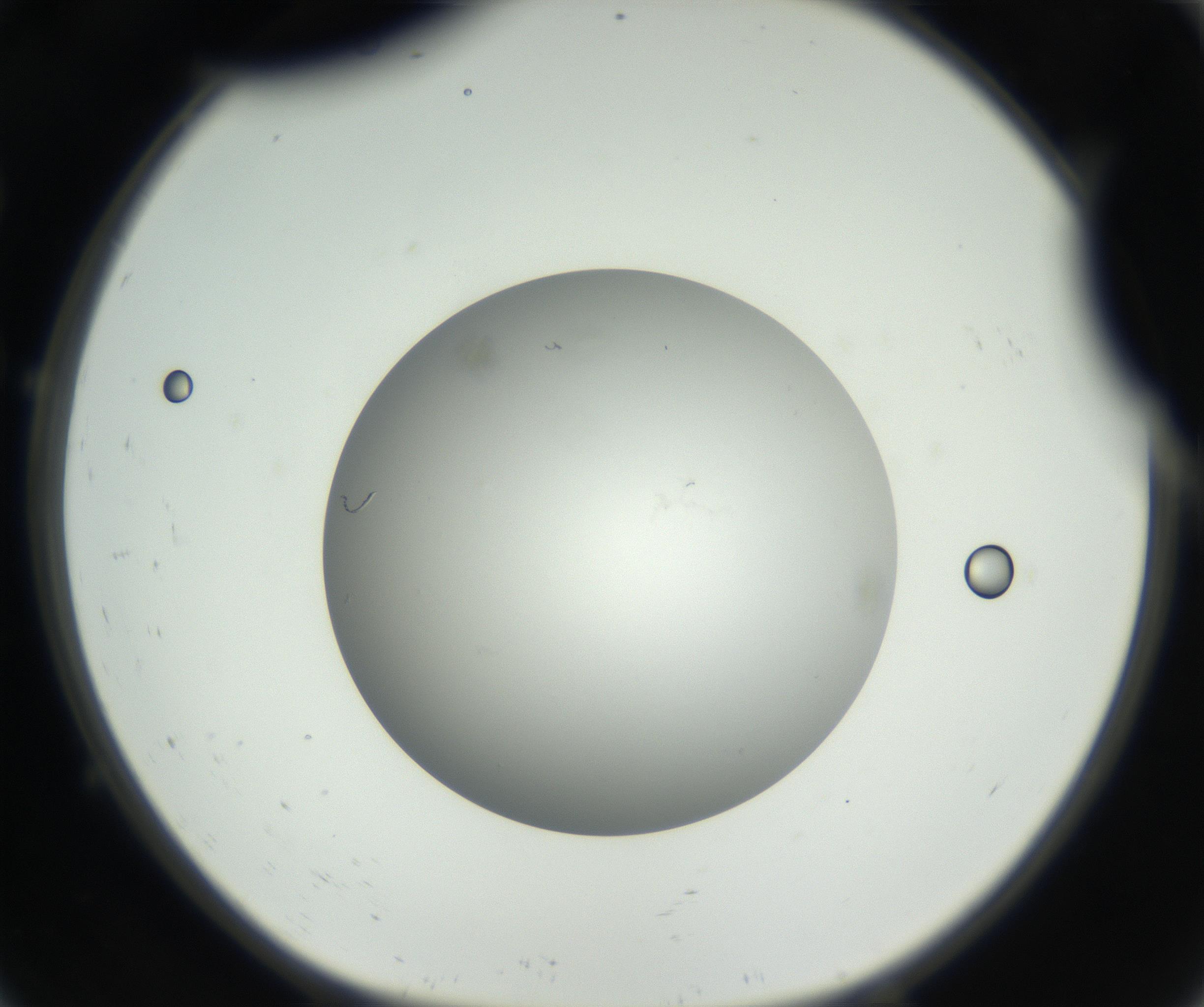 RI01_03_000_0212_Proj1_Clon1_MC_0000MC102636_003_160814_09_01_01_00_99_002_001_RAI.jpg