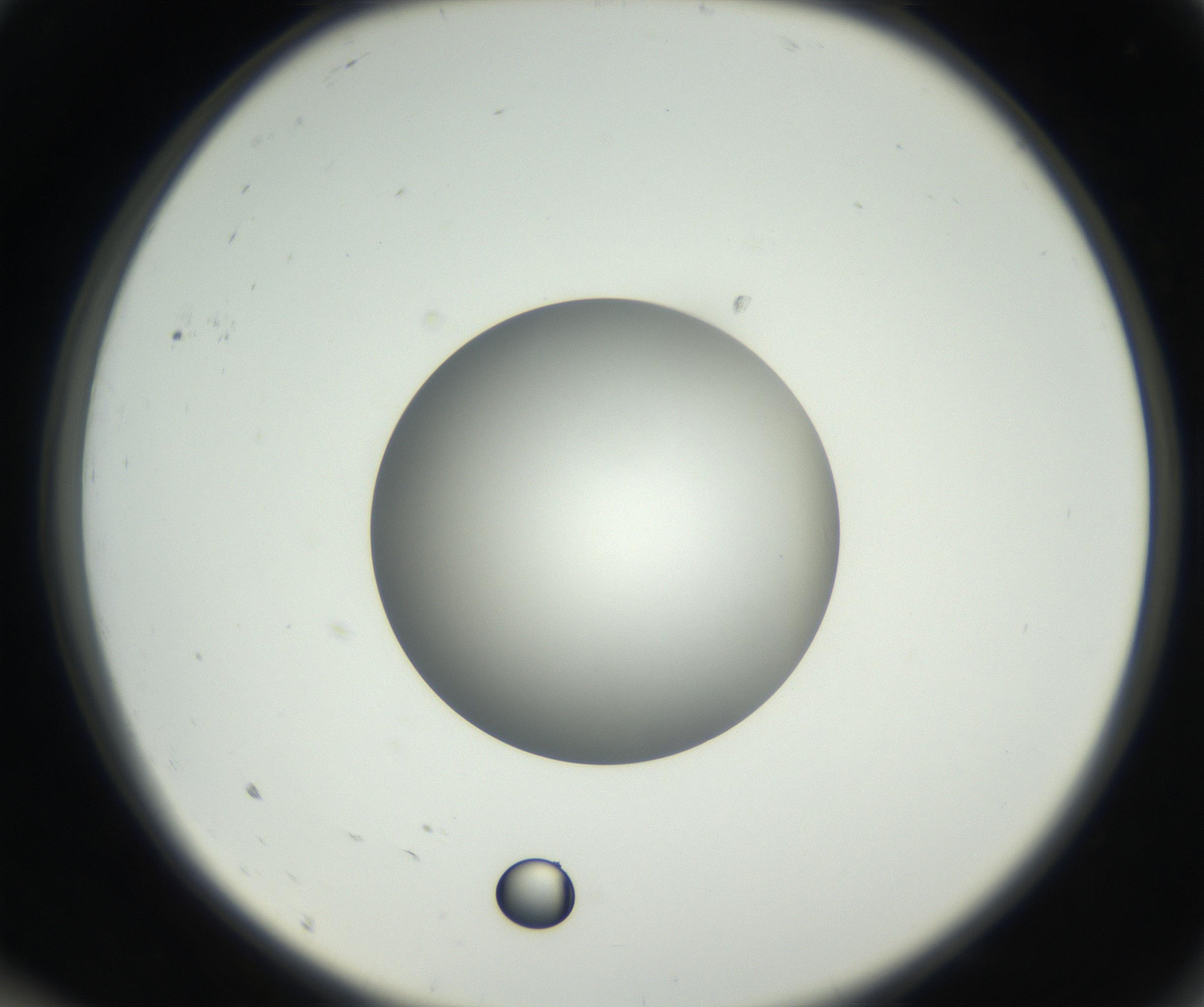 RI01_03_000_0212_Proj1_Clon1_MC_0000MC102636_003_160814_09_01_02_00_99_002_001_RAI.jpg