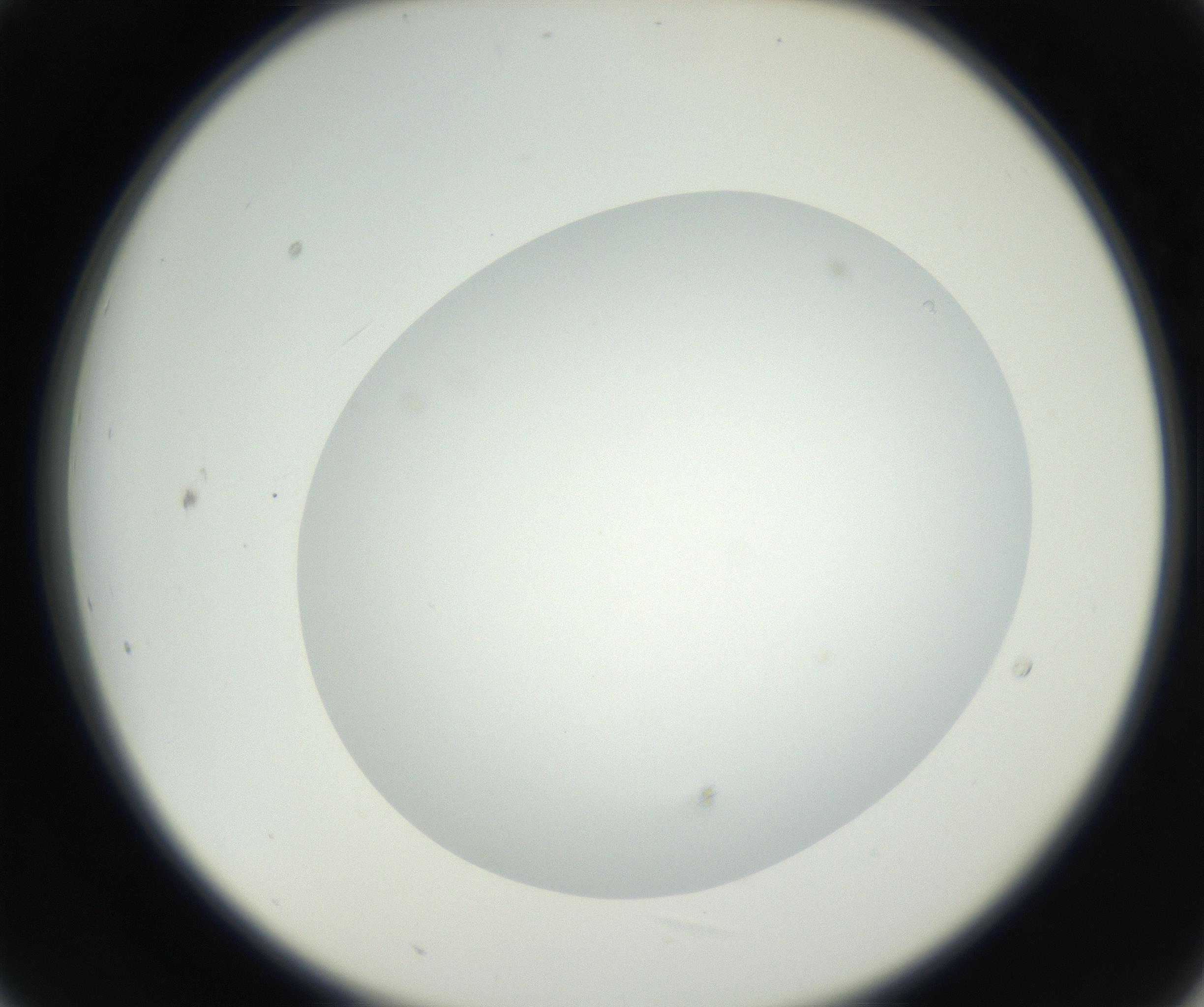 RI01_03_000_0212_Proj1_Clon1_MC_0000MC102636_003_160814_09_02_02_00_99_002_001_RAI.jpg