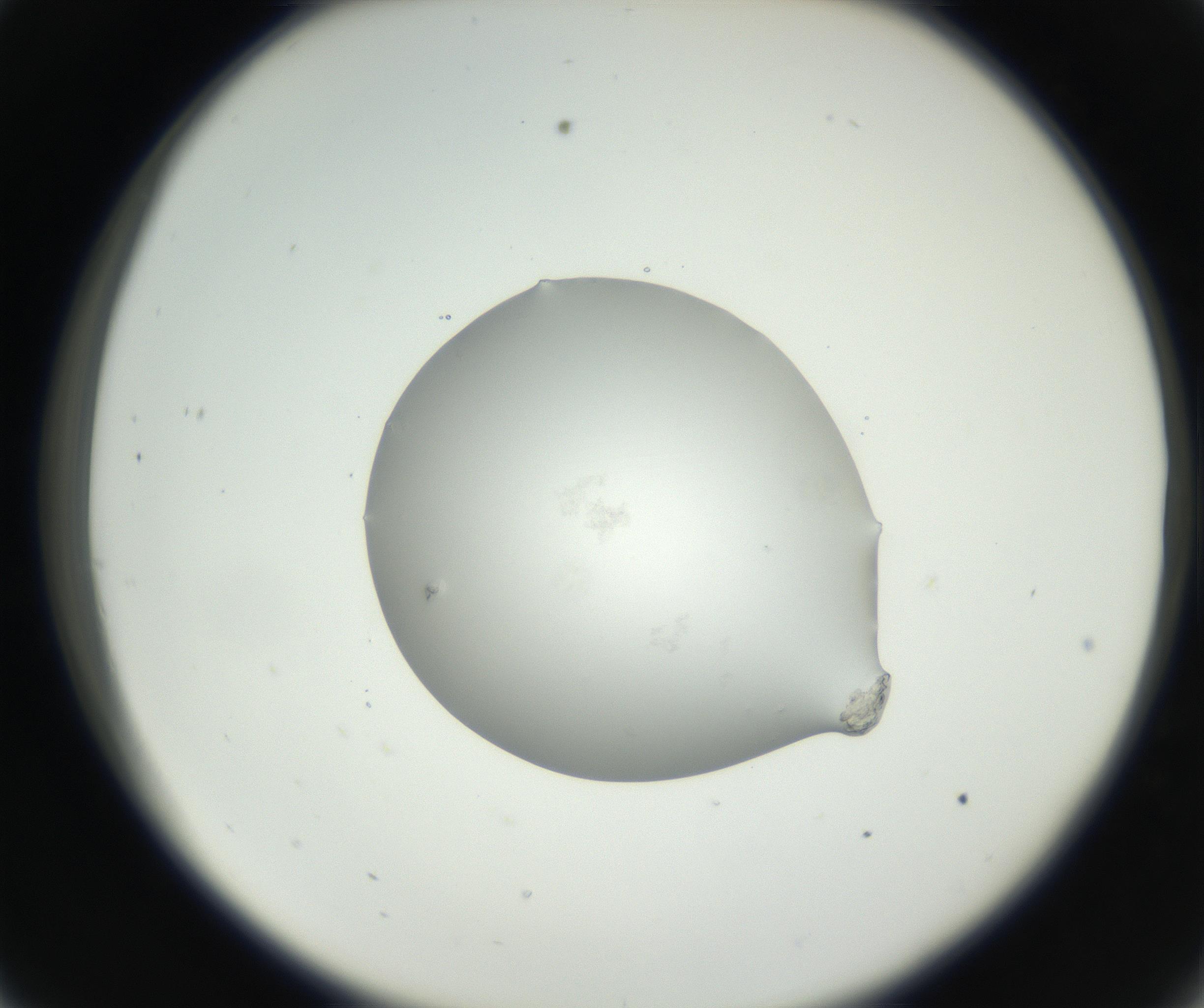 RI01_03_000_0212_Proj1_Clon1_MC_0000MC102636_003_160814_09_03_02_00_99_002_001_RAI.jpg