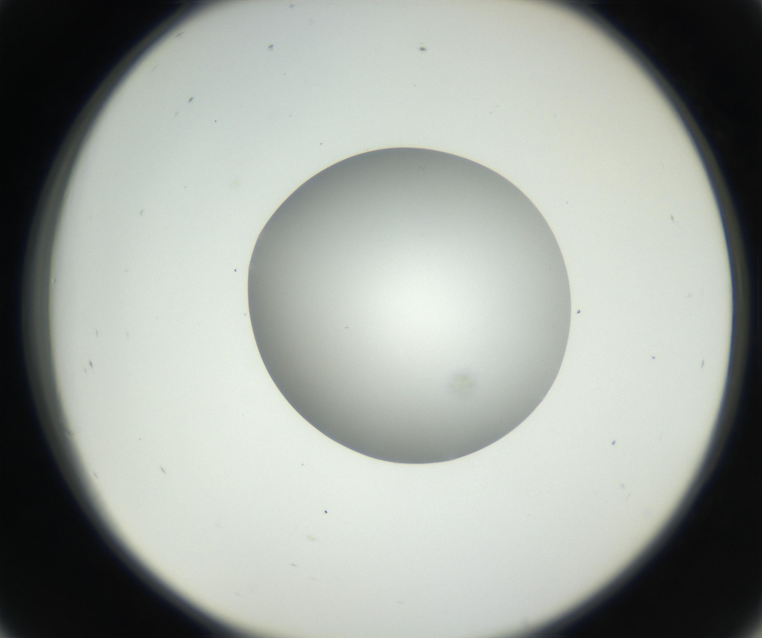 RI01_03_000_0212_Proj1_Clon1_MC_0000MC102636_003_160814_09_04_02_00_99_002_001_RAI.jpg