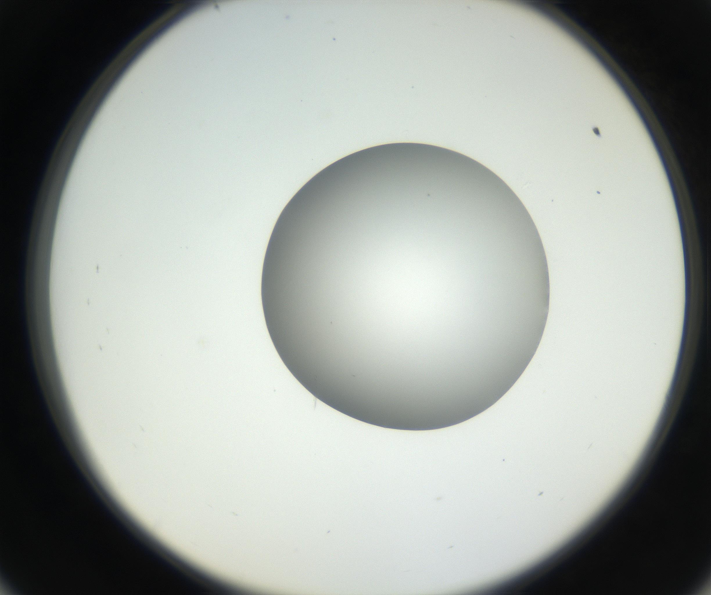 RI01_03_000_0212_Proj1_Clon1_MC_0000MC102636_003_160814_09_05_02_00_99_002_001_RAI.jpg