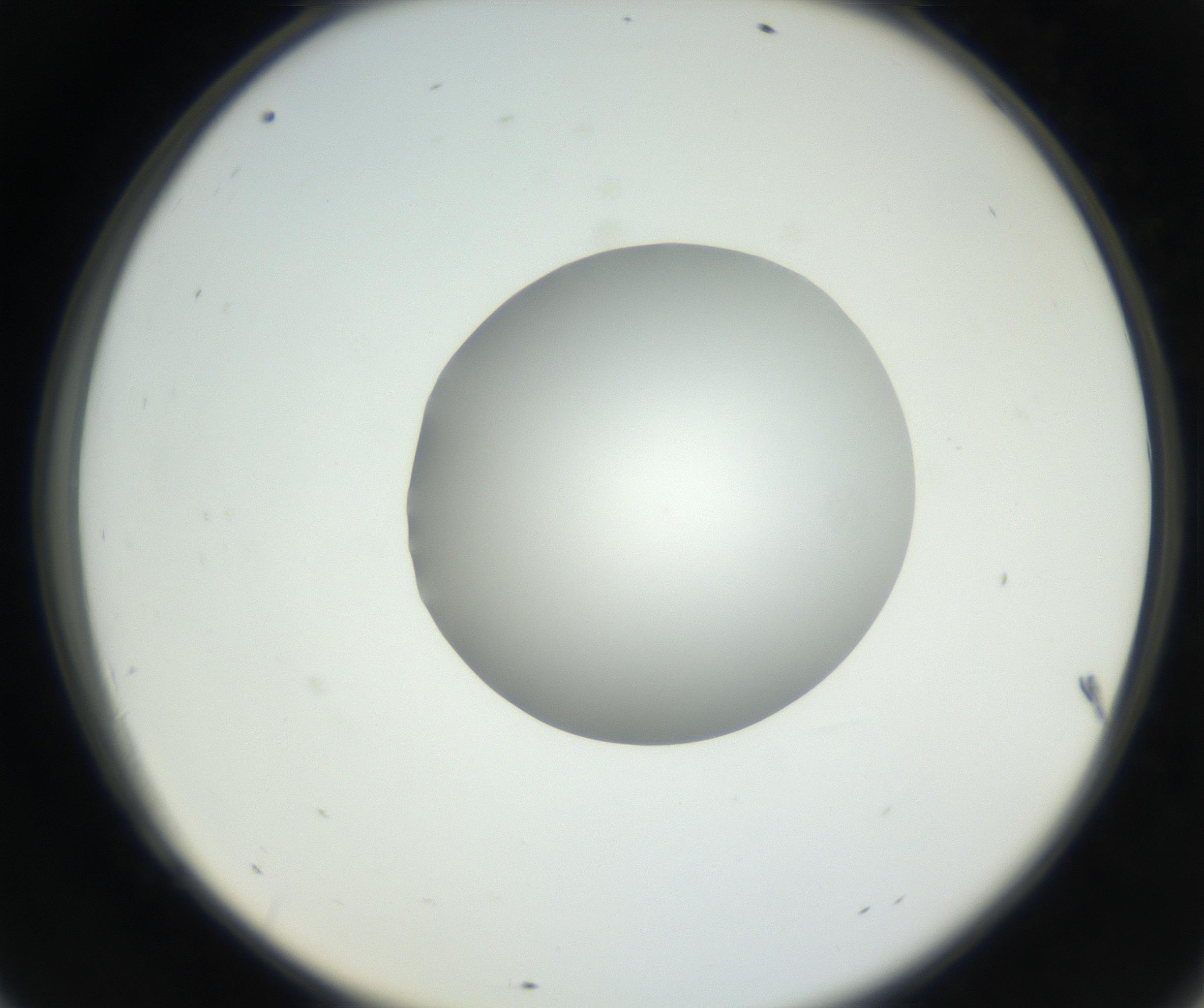 RI01_03_000_0212_Proj1_Clon1_MC_0000MC102636_003_160814_09_06_02_00_99_002_001_RAI.jpg