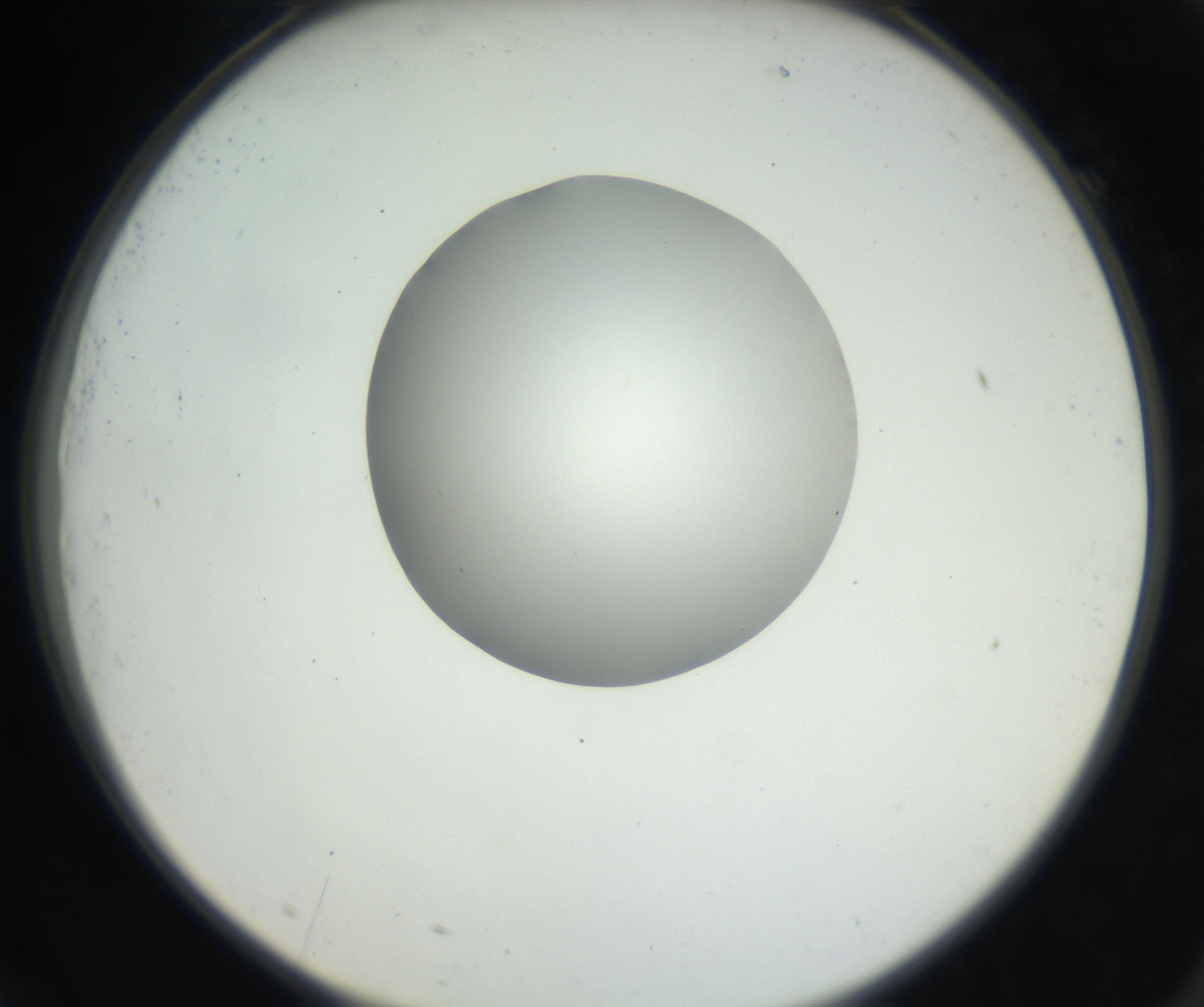 RI01_03_000_0212_Proj1_Clon1_MC_0000MC102636_003_160814_09_07_02_00_99_002_001_RAI.jpg