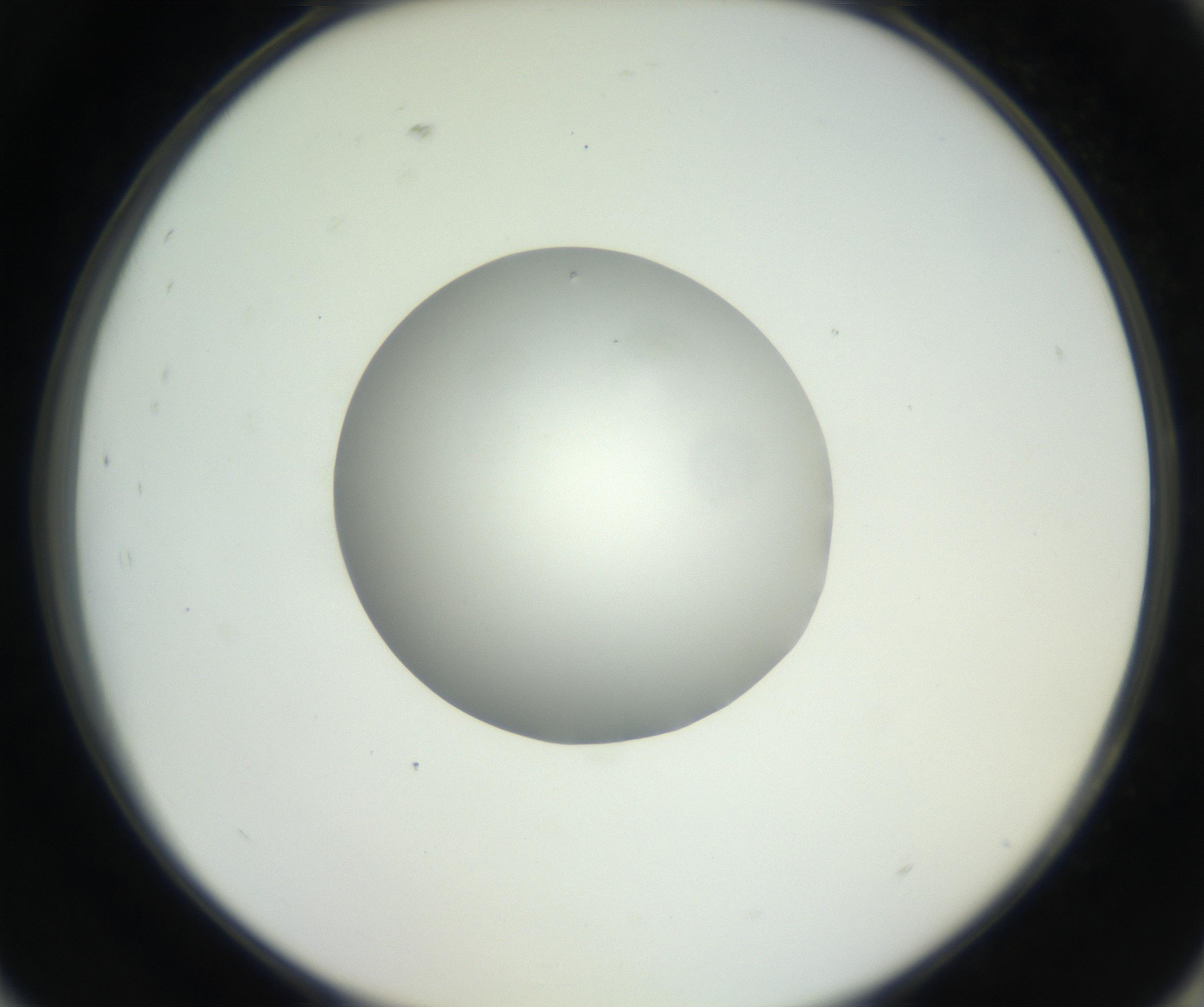 RI01_03_000_0212_Proj1_Clon1_MC_0000MC102636_003_160814_09_08_02_00_99_002_001_RAI.jpg