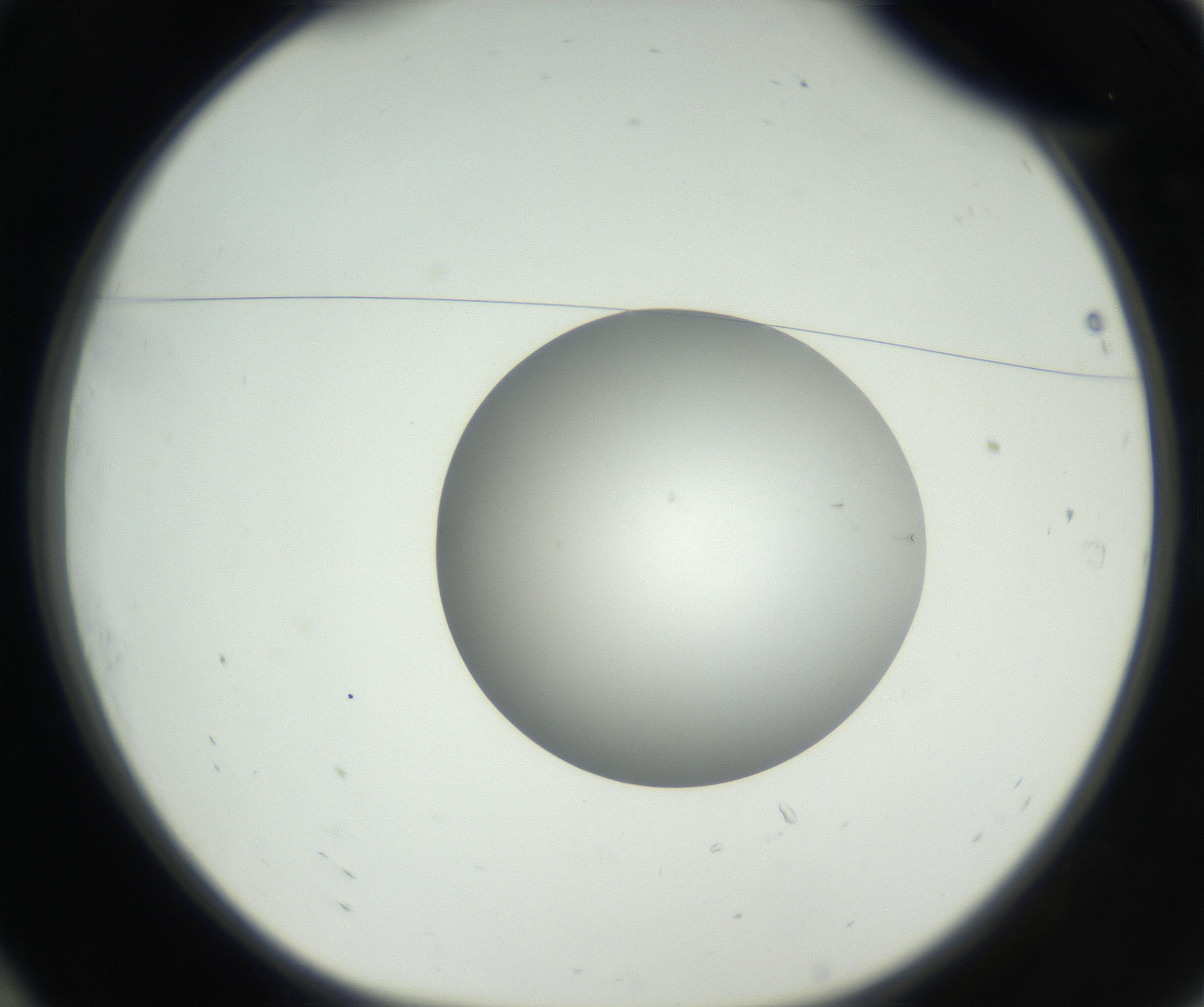 RI01_03_000_0212_Proj1_Clon1_MC_0000MC102636_003_160814_10_01_01_00_99_002_001_RAI.jpg