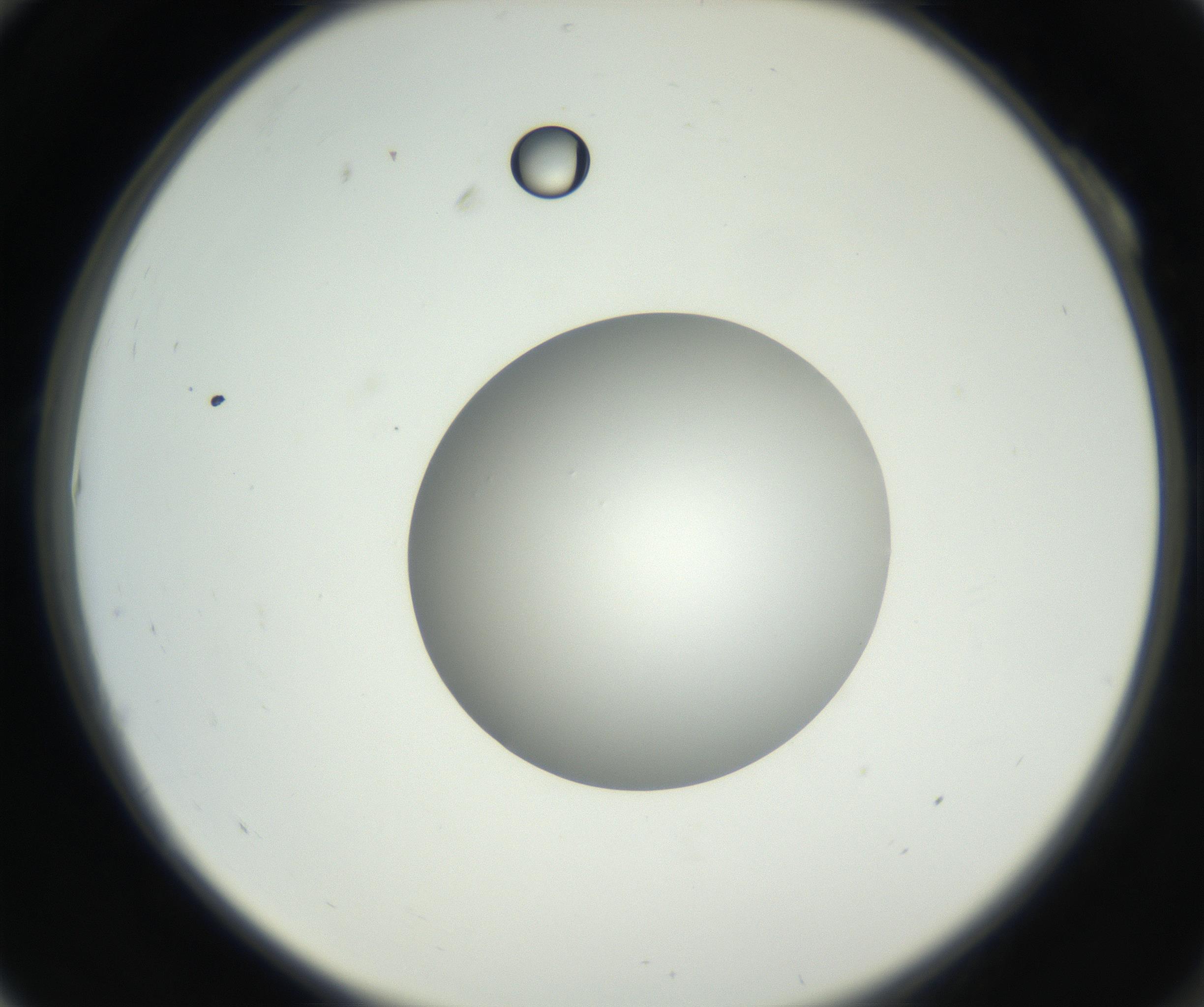 RI01_03_000_0212_Proj1_Clon1_MC_0000MC102636_003_160814_10_01_02_00_99_002_001_RAI.jpg