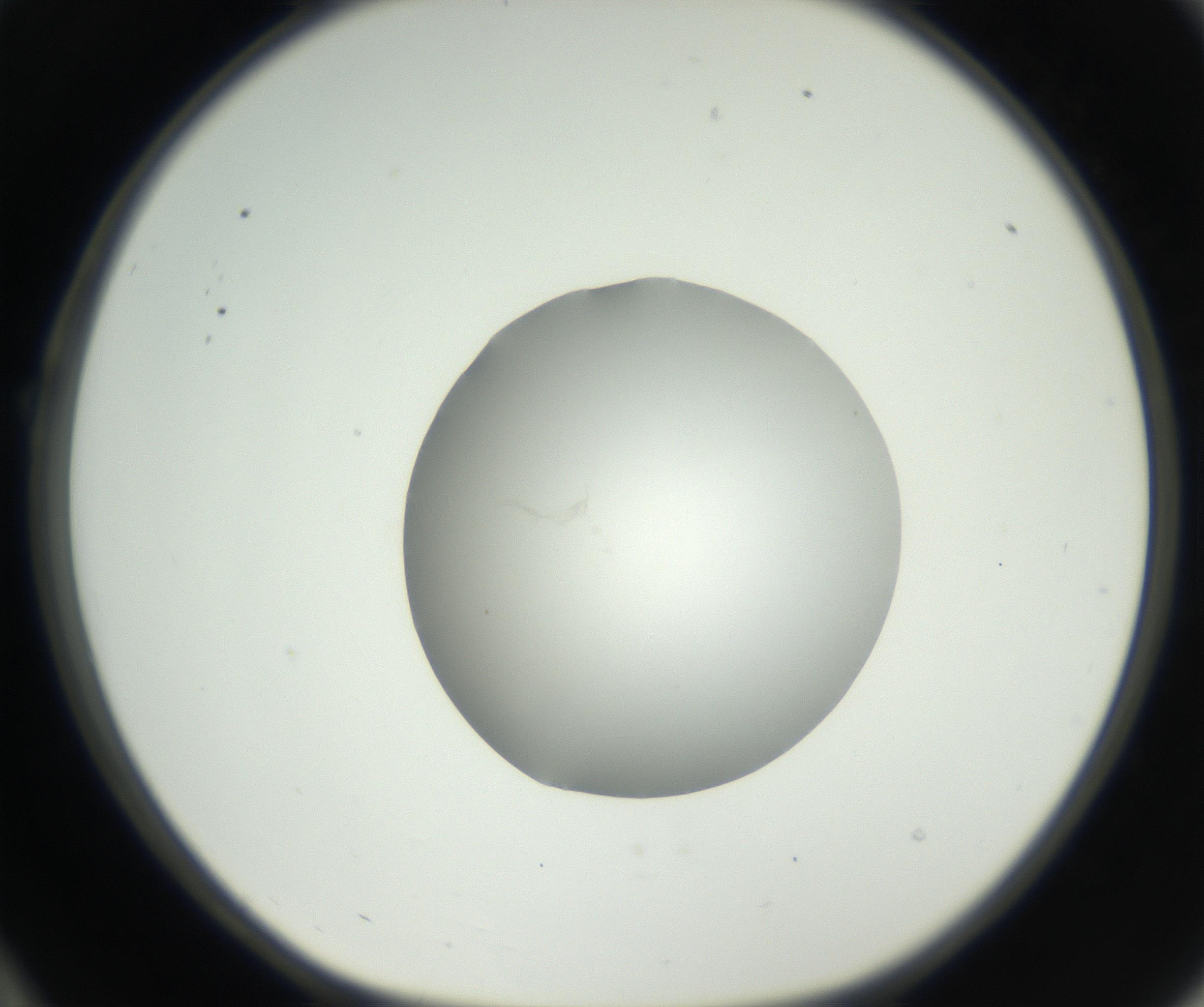 RI01_03_000_0212_Proj1_Clon1_MC_0000MC102636_003_160814_10_02_01_00_99_002_001_RAI.jpg