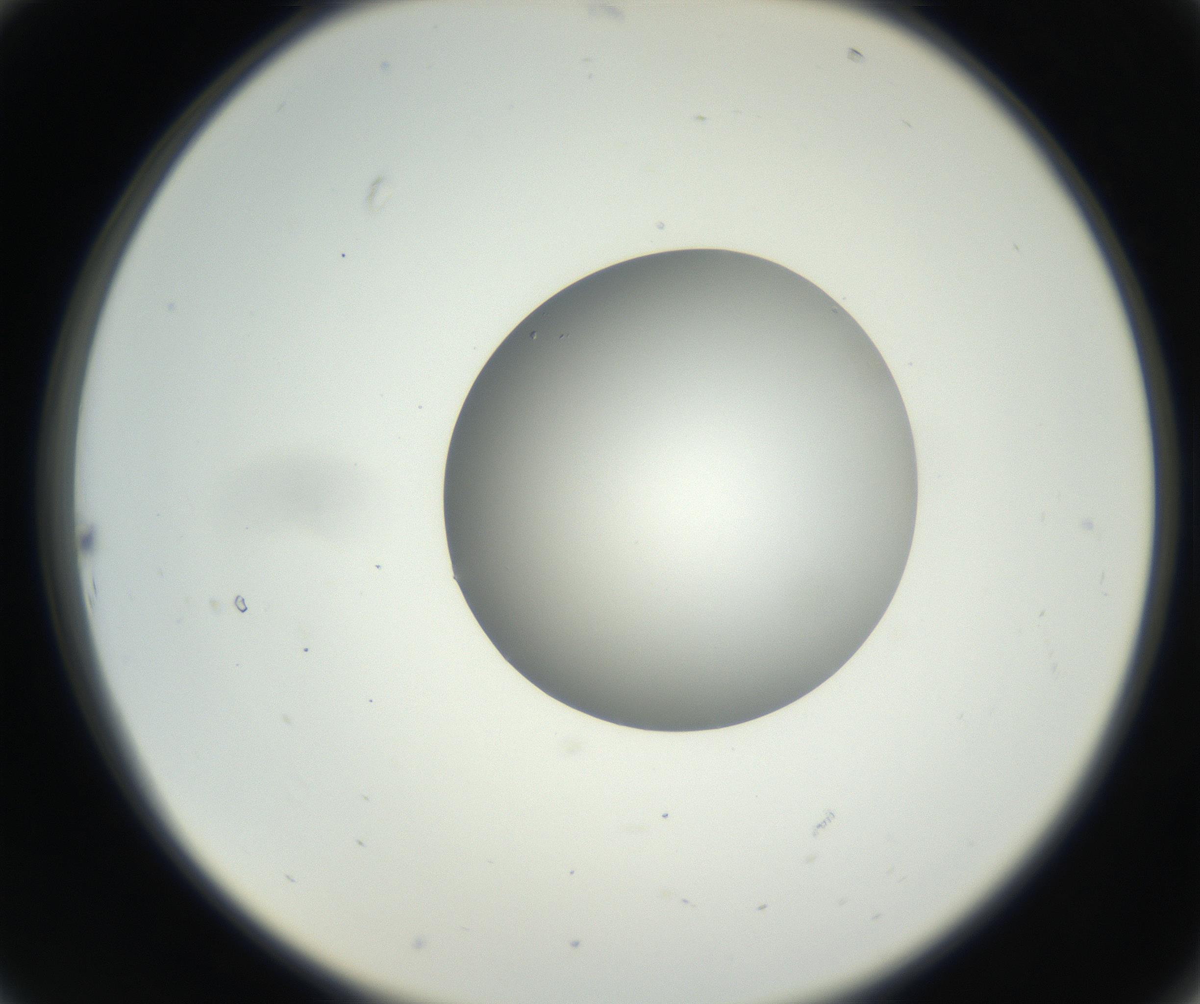 RI01_03_000_0212_Proj1_Clon1_MC_0000MC102636_003_160814_10_02_02_00_99_002_001_RAI.jpg