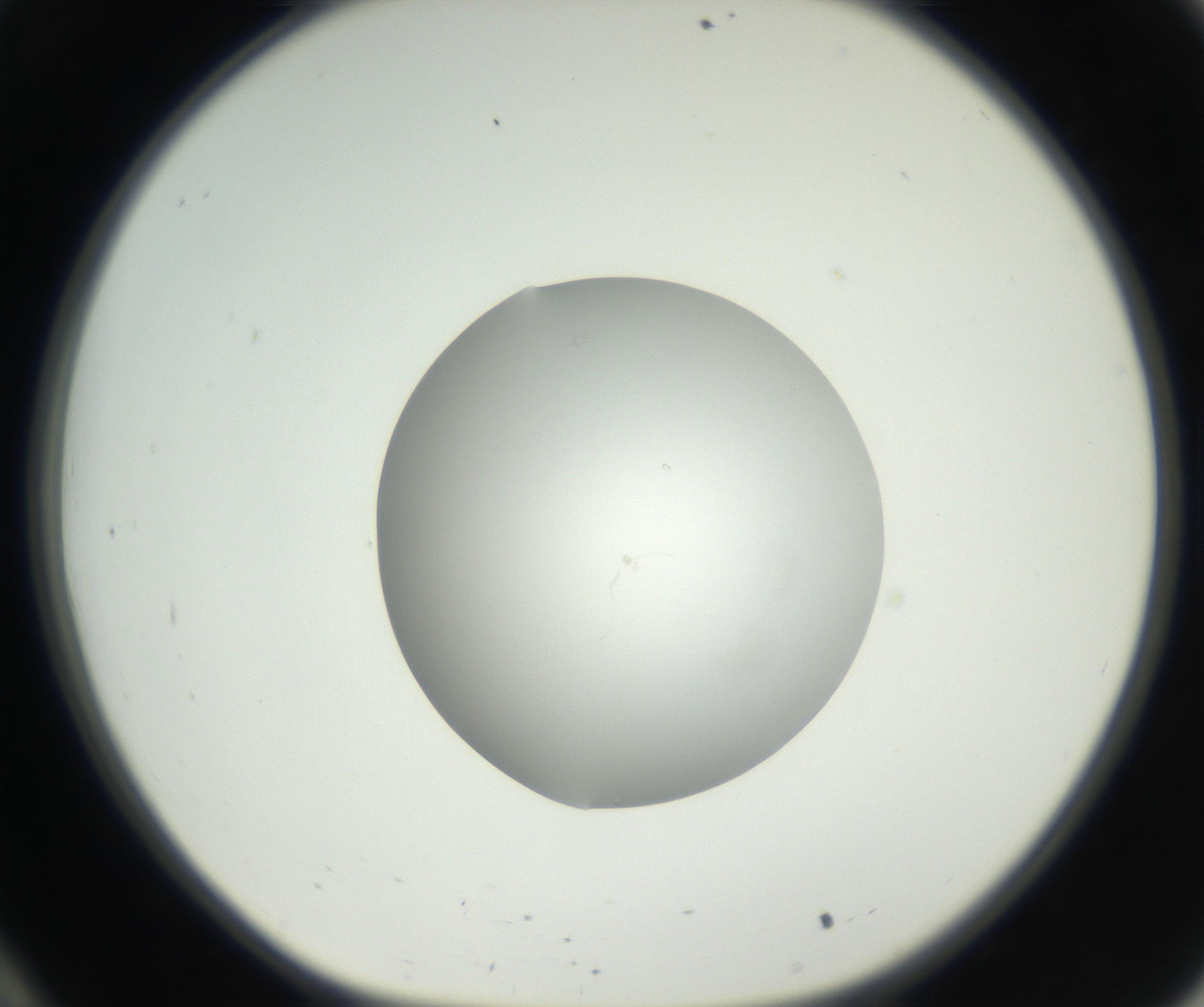 RI01_03_000_0212_Proj1_Clon1_MC_0000MC102636_003_160814_10_03_01_00_99_002_001_RAI.jpg