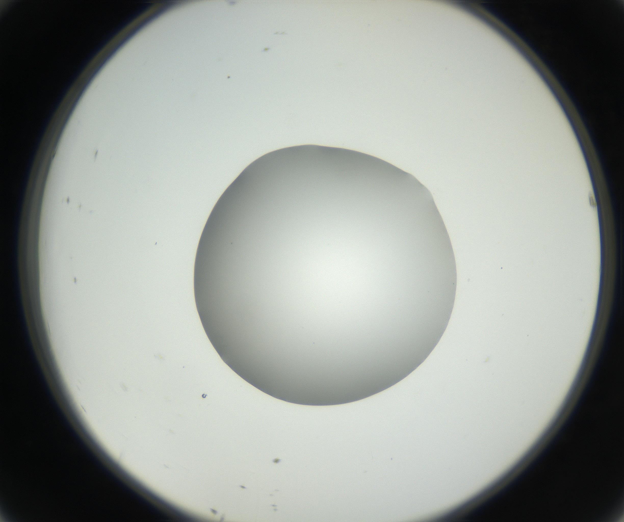 RI01_03_000_0212_Proj1_Clon1_MC_0000MC102636_003_160814_10_04_02_00_99_002_001_RAI.jpg