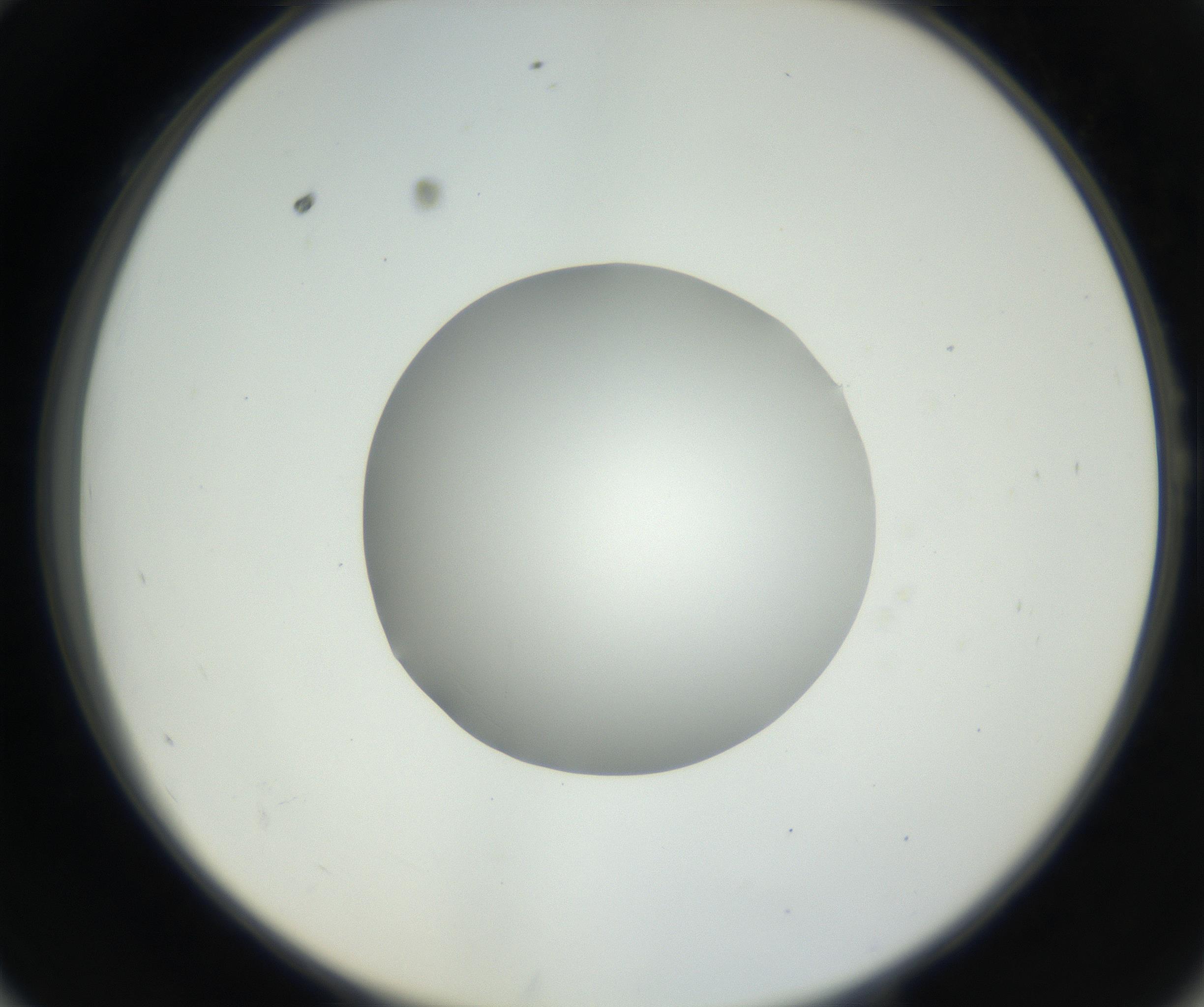 RI01_03_000_0212_Proj1_Clon1_MC_0000MC102636_003_160814_10_05_02_00_99_002_001_RAI.jpg