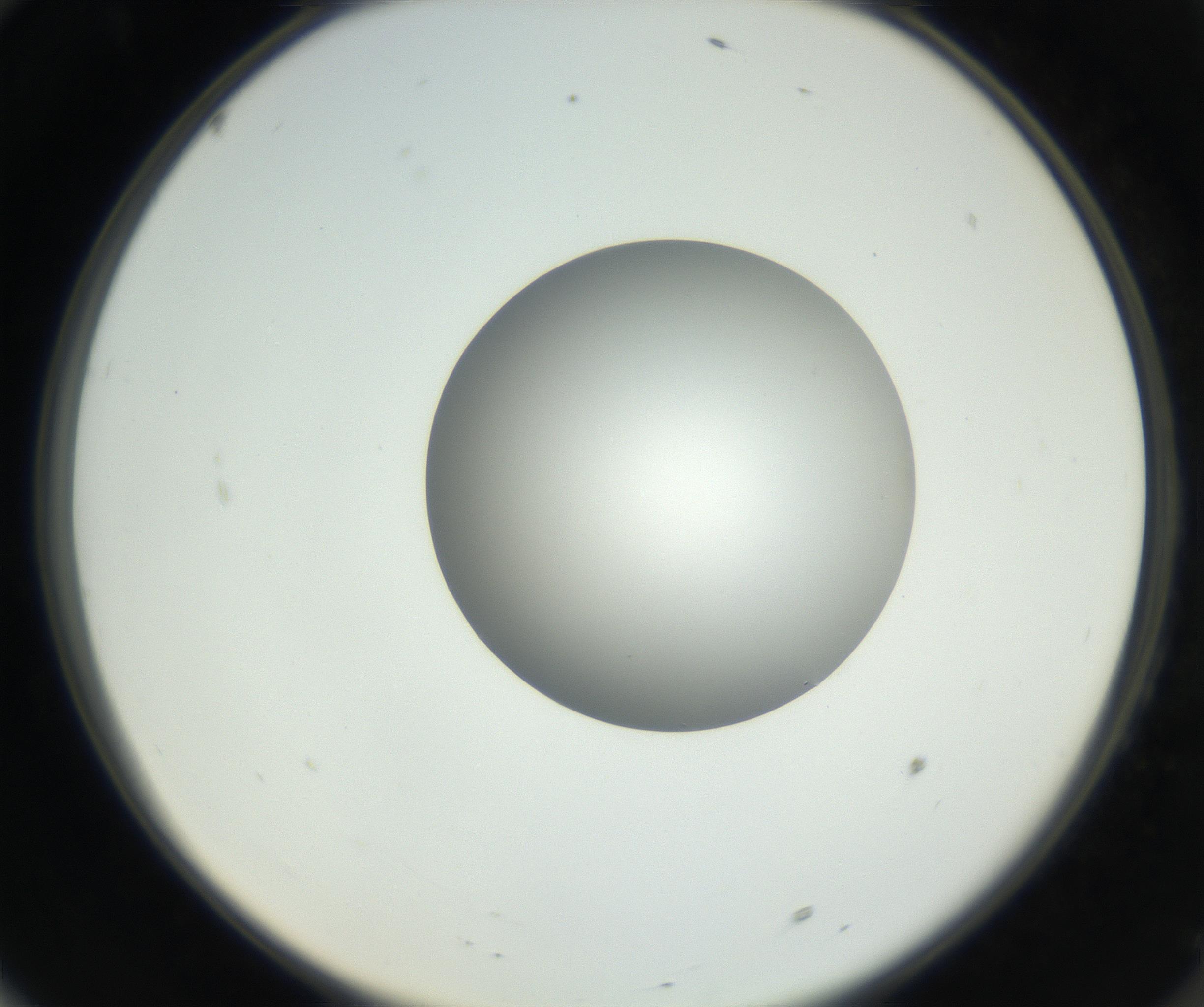 RI01_03_000_0212_Proj1_Clon1_MC_0000MC102636_003_160814_10_06_02_00_99_002_001_RAI.jpg
