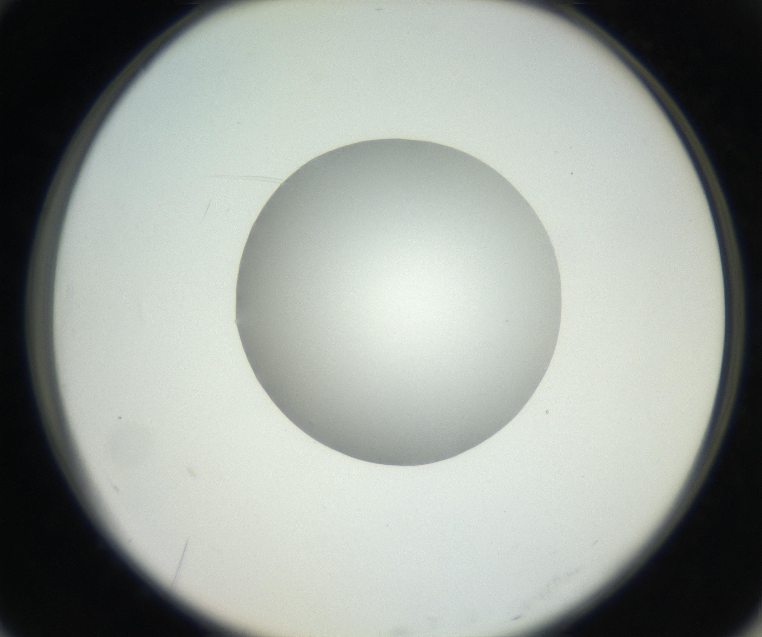 RI01_03_000_0212_Proj1_Clon1_MC_0000MC102636_003_160814_10_07_02_00_99_002_001_RAI.jpg
