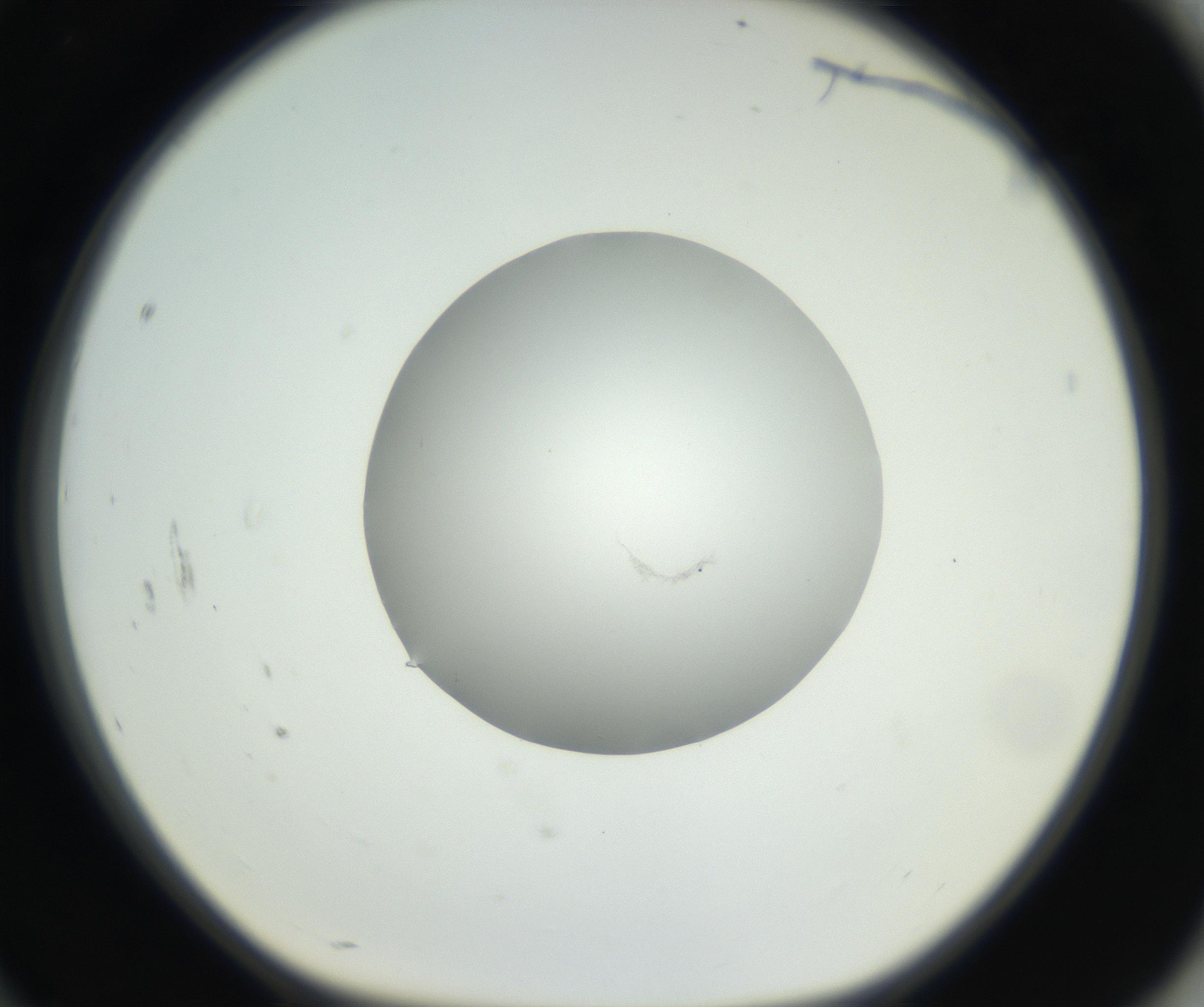 RI01_03_000_0212_Proj1_Clon1_MC_0000MC102636_003_160814_10_08_01_00_99_002_001_RAI.jpg