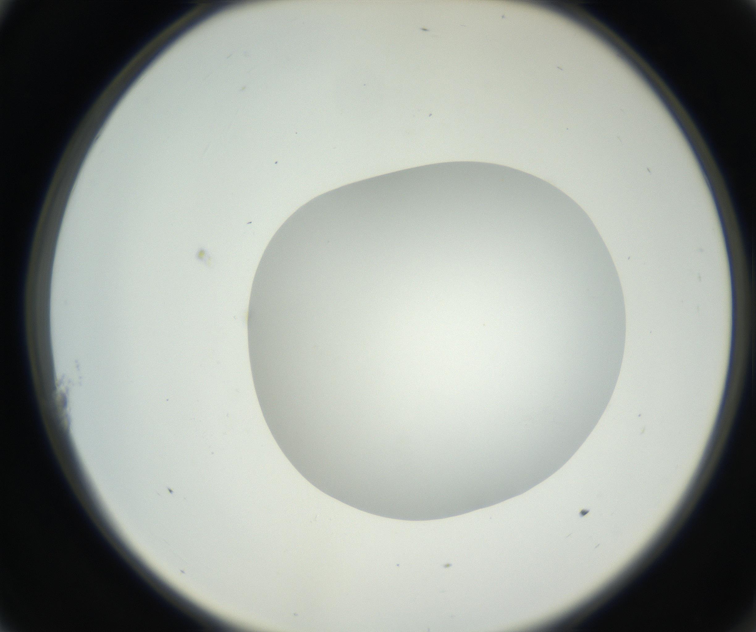 RI01_03_000_0212_Proj1_Clon1_MC_0000MC102636_003_160814_11_01_02_00_99_002_001_RAI.jpg