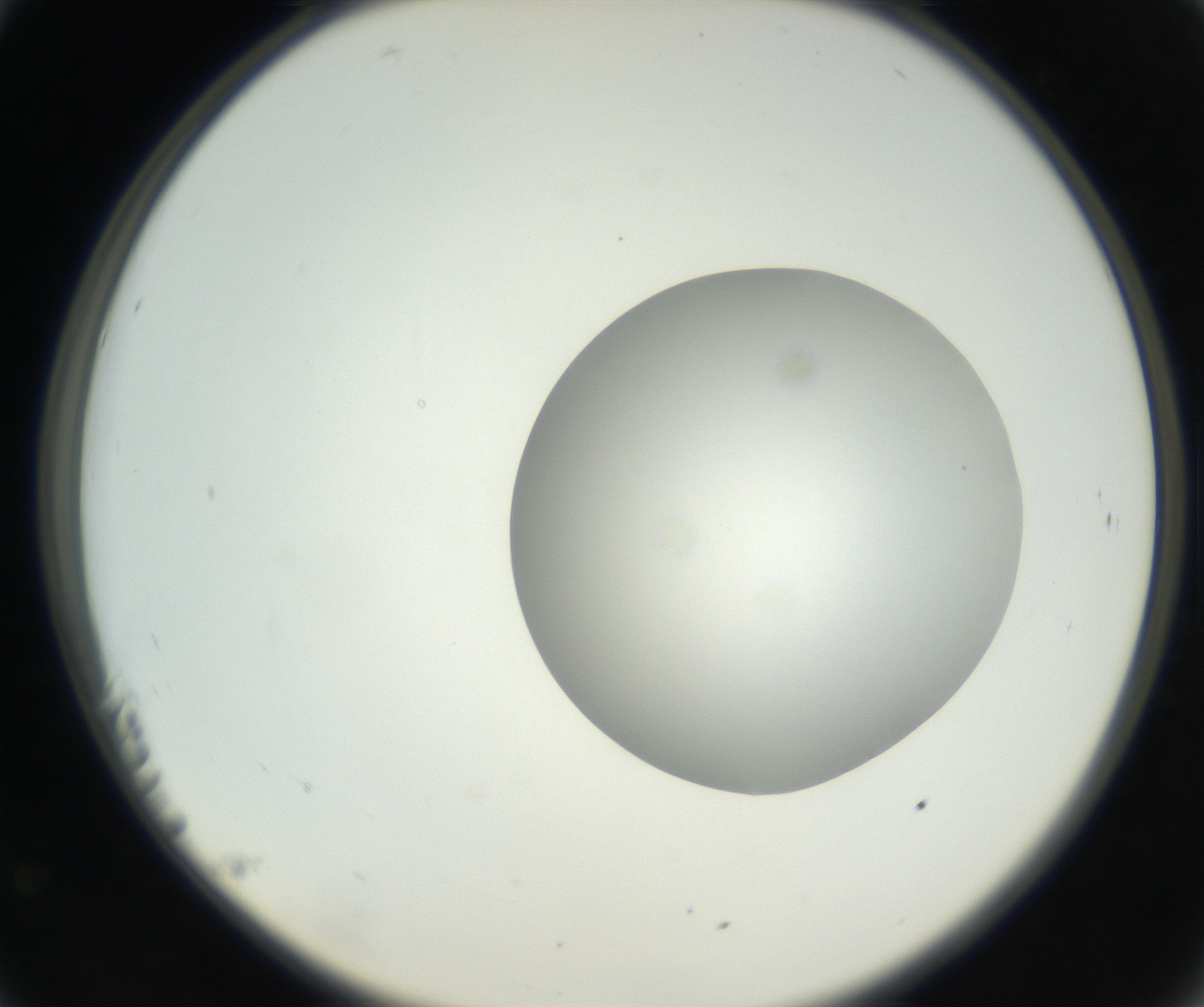 RI01_03_000_0212_Proj1_Clon1_MC_0000MC102636_003_160814_11_02_02_00_99_002_001_RAI.jpg