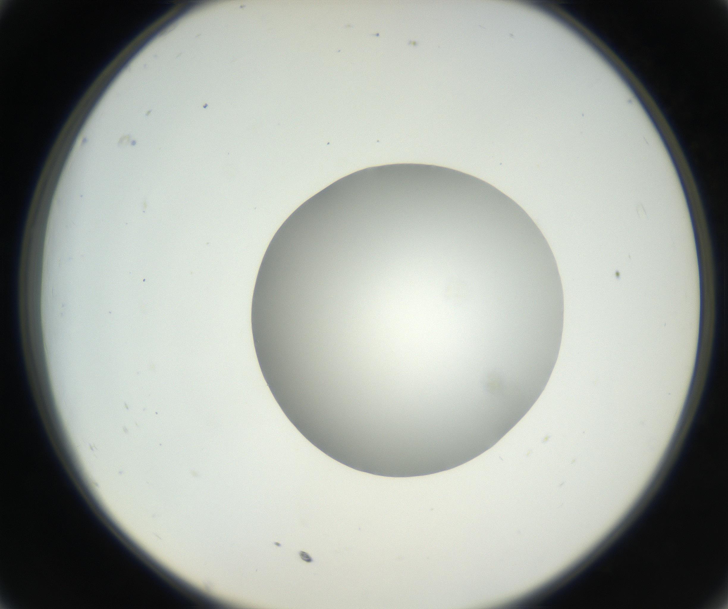 RI01_03_000_0212_Proj1_Clon1_MC_0000MC102636_003_160814_11_03_02_00_99_002_001_RAI.jpg