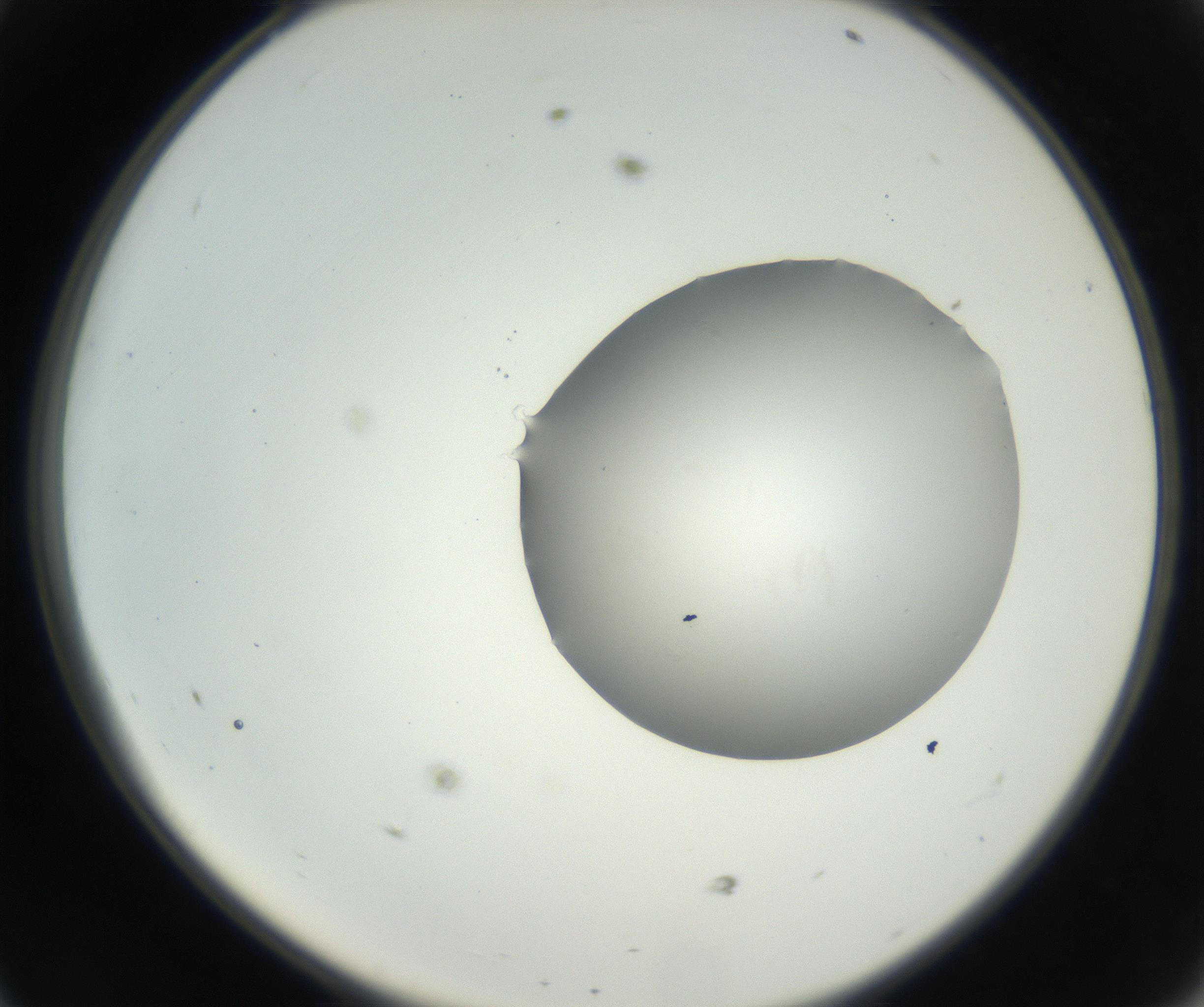 RI01_03_000_0212_Proj1_Clon1_MC_0000MC102636_003_160814_11_04_02_00_99_002_001_RAI.jpg