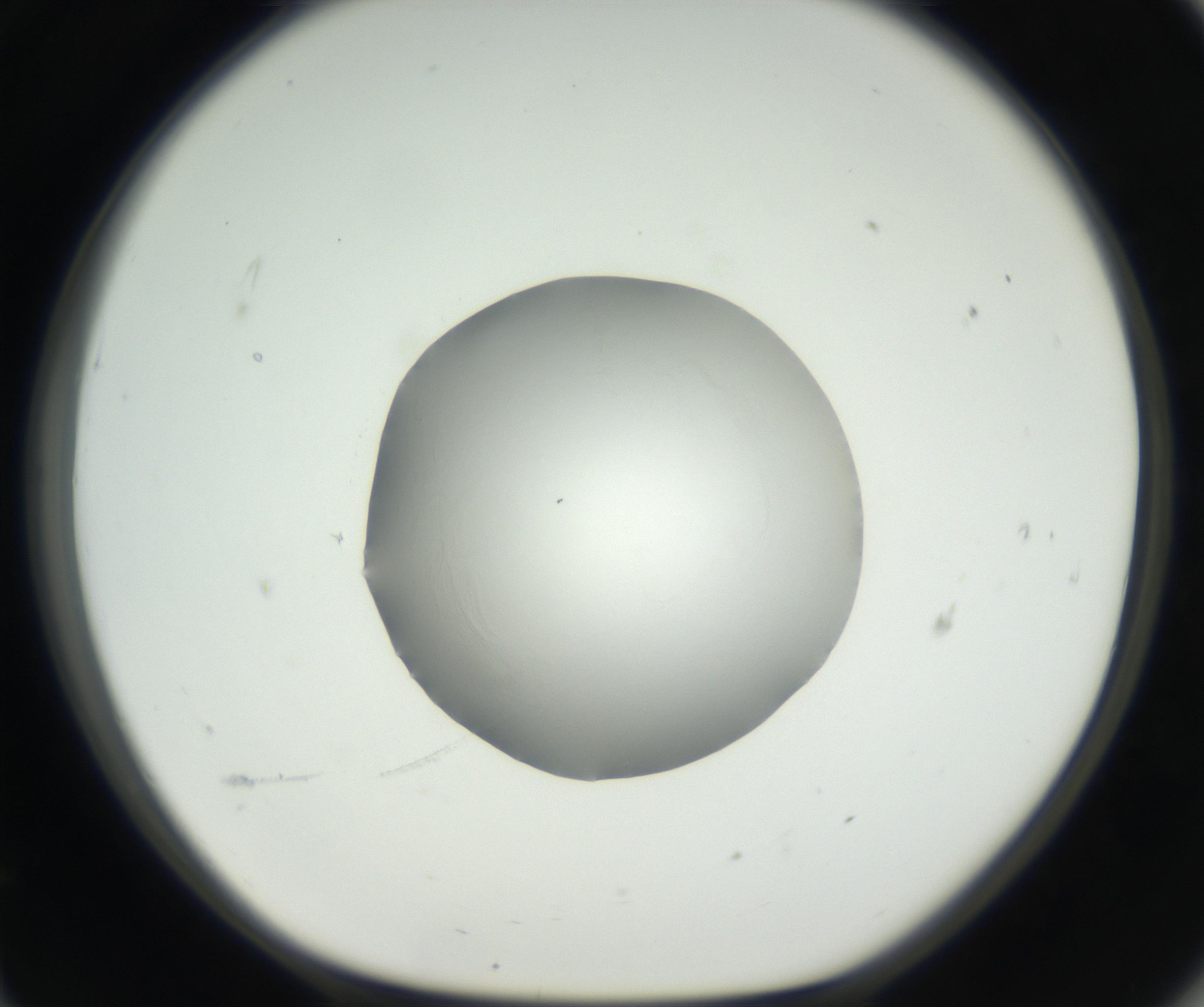 RI01_03_000_0212_Proj1_Clon1_MC_0000MC102636_003_160814_11_06_01_00_99_002_001_RAI.jpg