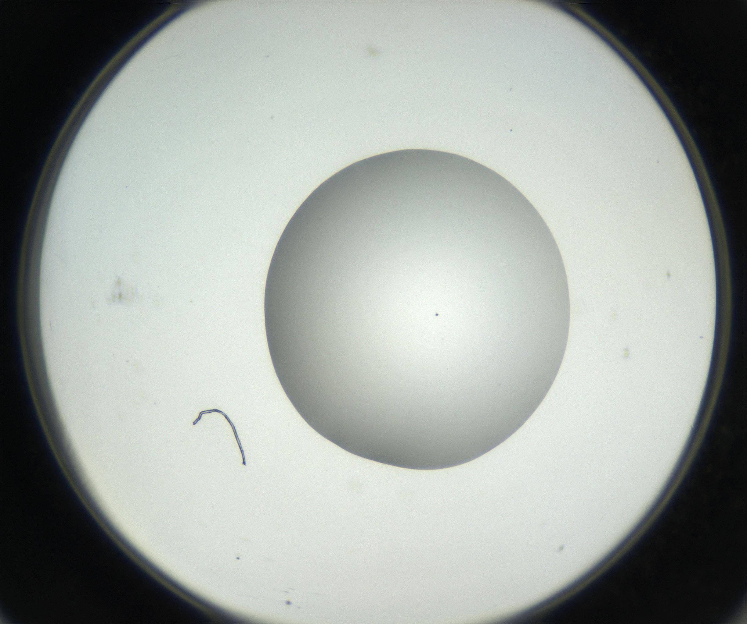 RI01_03_000_0212_Proj1_Clon1_MC_0000MC102636_003_160814_11_06_02_00_99_002_001_RAI.jpg