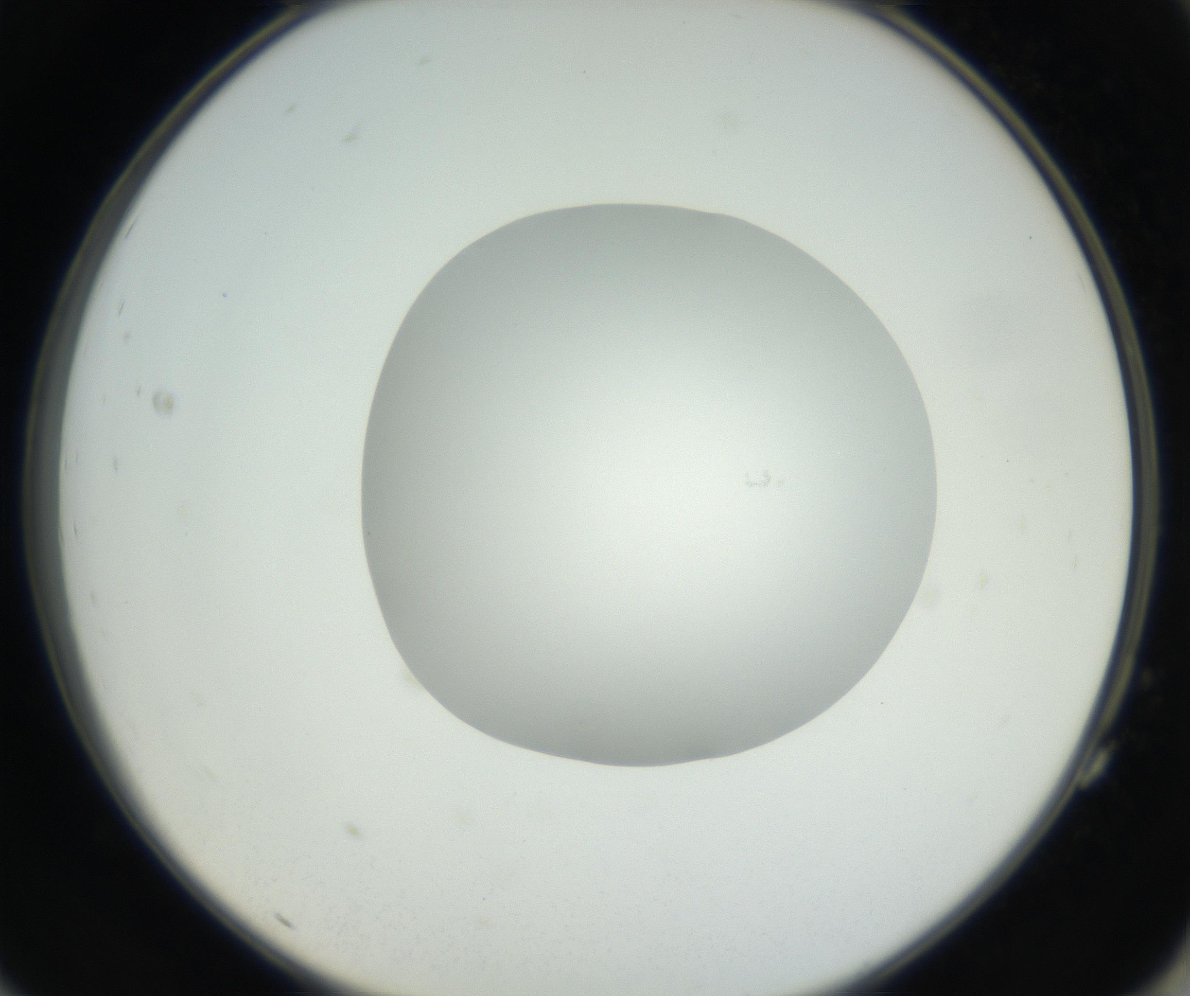 RI01_03_000_0212_Proj1_Clon1_MC_0000MC102636_003_160814_11_07_02_00_99_002_001_RAI.jpg