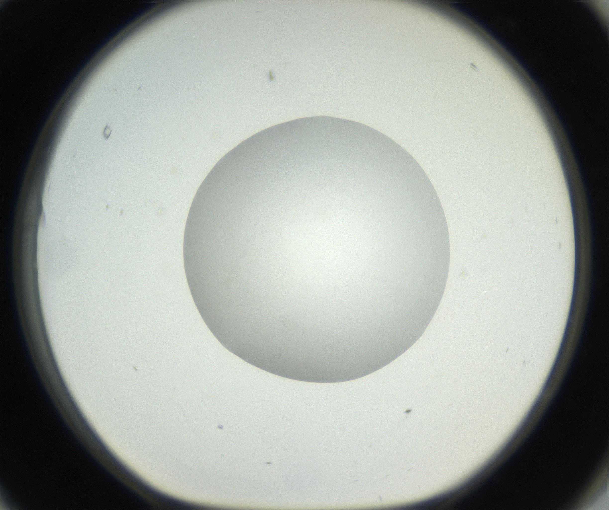 RI01_03_000_0212_Proj1_Clon1_MC_0000MC102636_003_160814_11_08_01_00_99_002_001_RAI.jpg