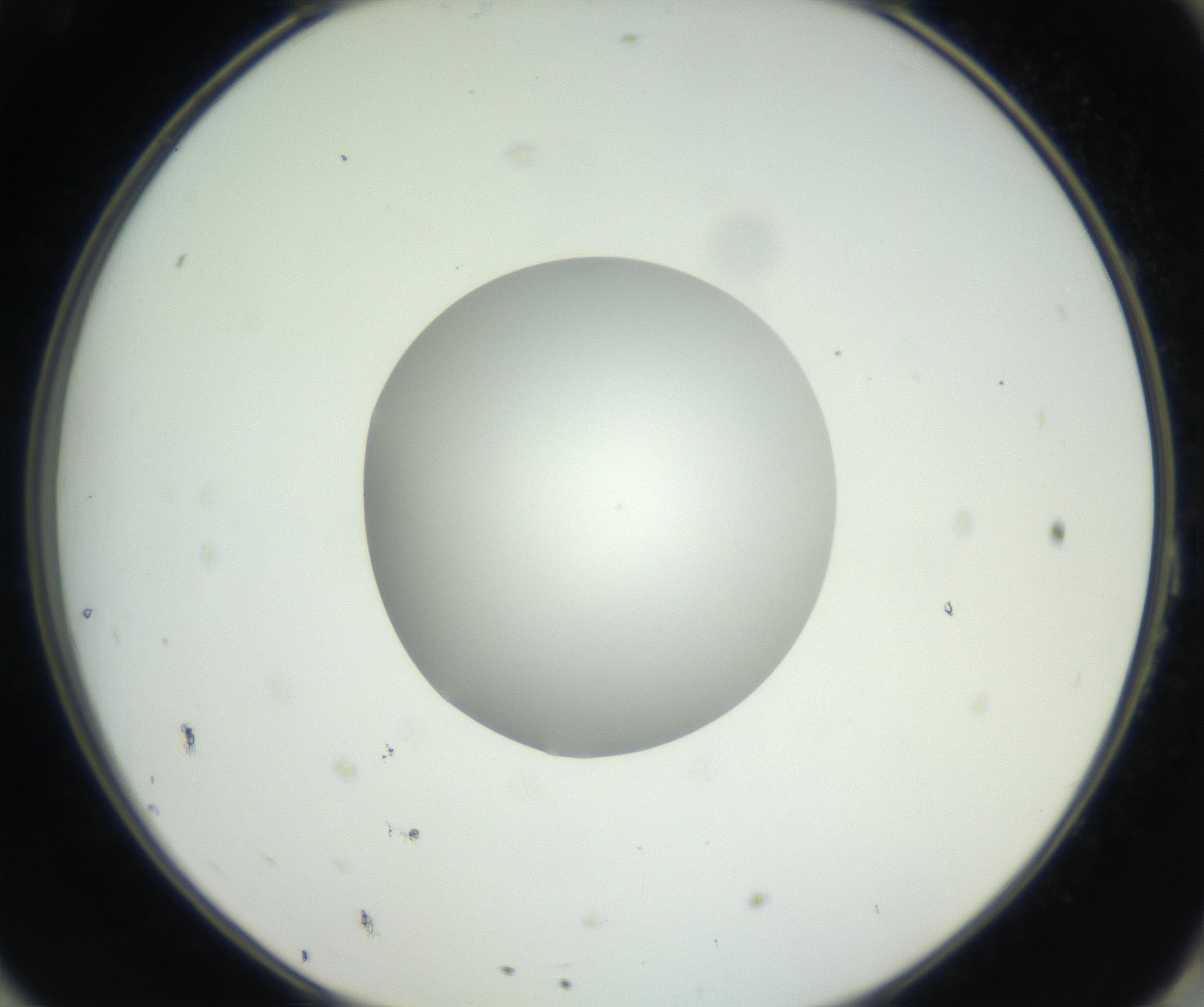 RI01_03_000_0212_Proj1_Clon1_MC_0000MC102636_003_160814_11_08_02_00_99_002_001_RAI.jpg