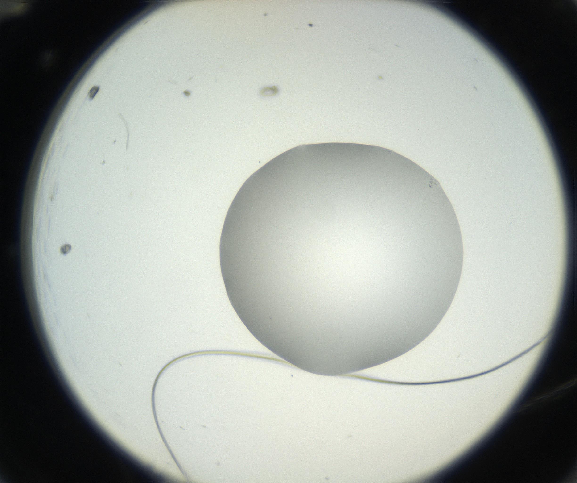 RI01_03_000_0212_Proj1_Clon1_MC_0000MC102636_003_160814_12_01_02_00_99_002_001_RAI.jpg