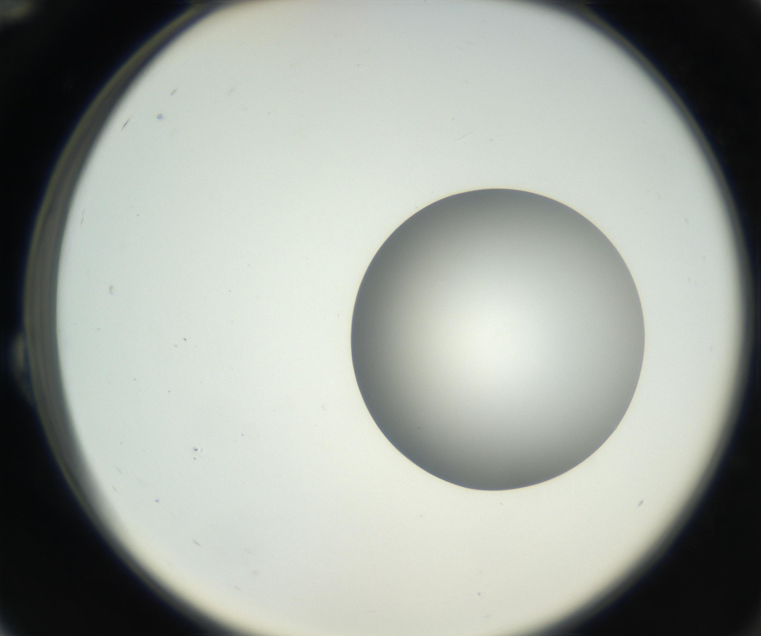 RI01_03_000_0212_Proj1_Clon1_MC_0000MC102636_003_160814_12_02_02_00_99_002_001_RAI.jpg