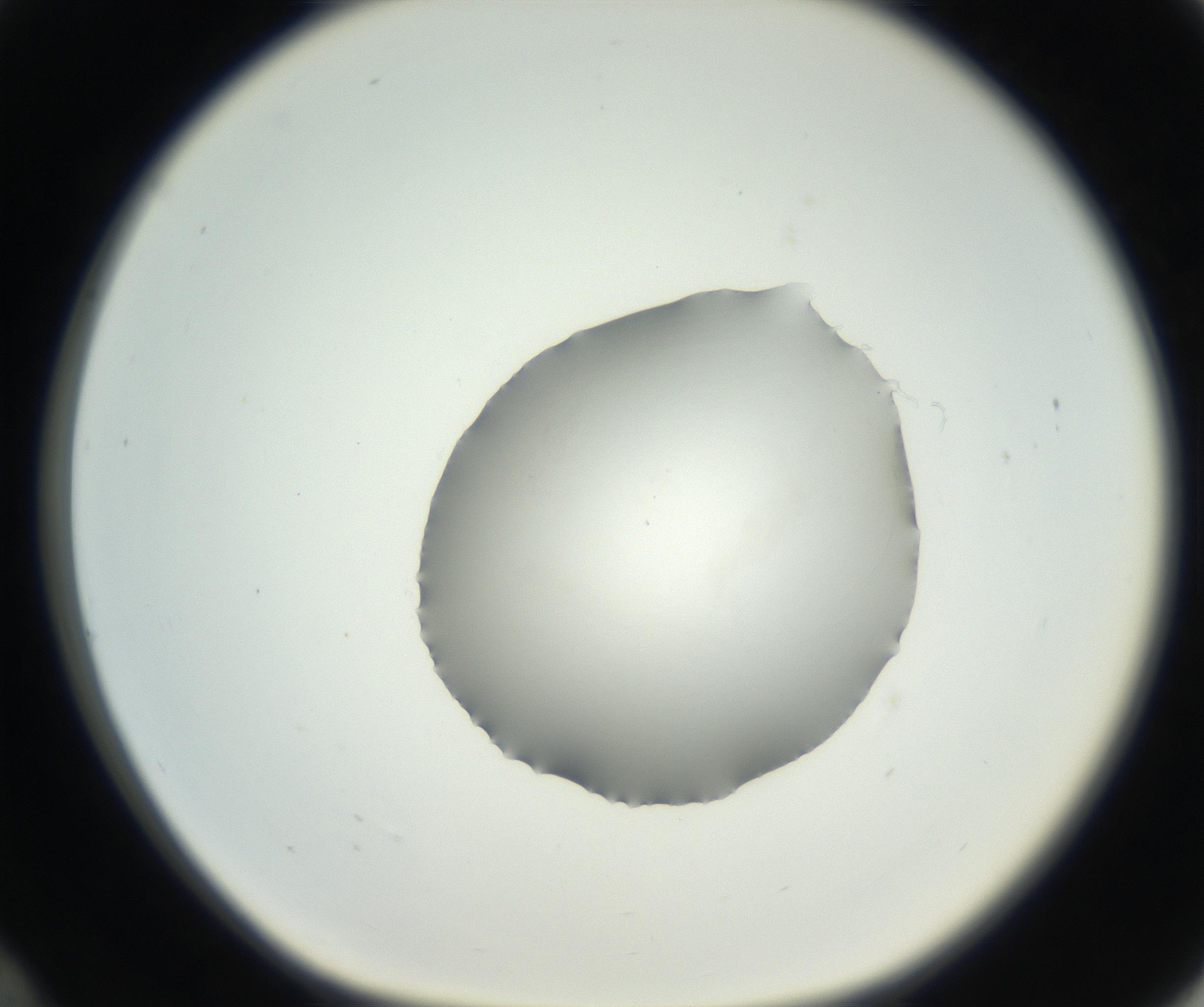 RI01_03_000_0212_Proj1_Clon1_MC_0000MC102636_003_160814_12_03_01_00_99_002_001_RAI.jpg
