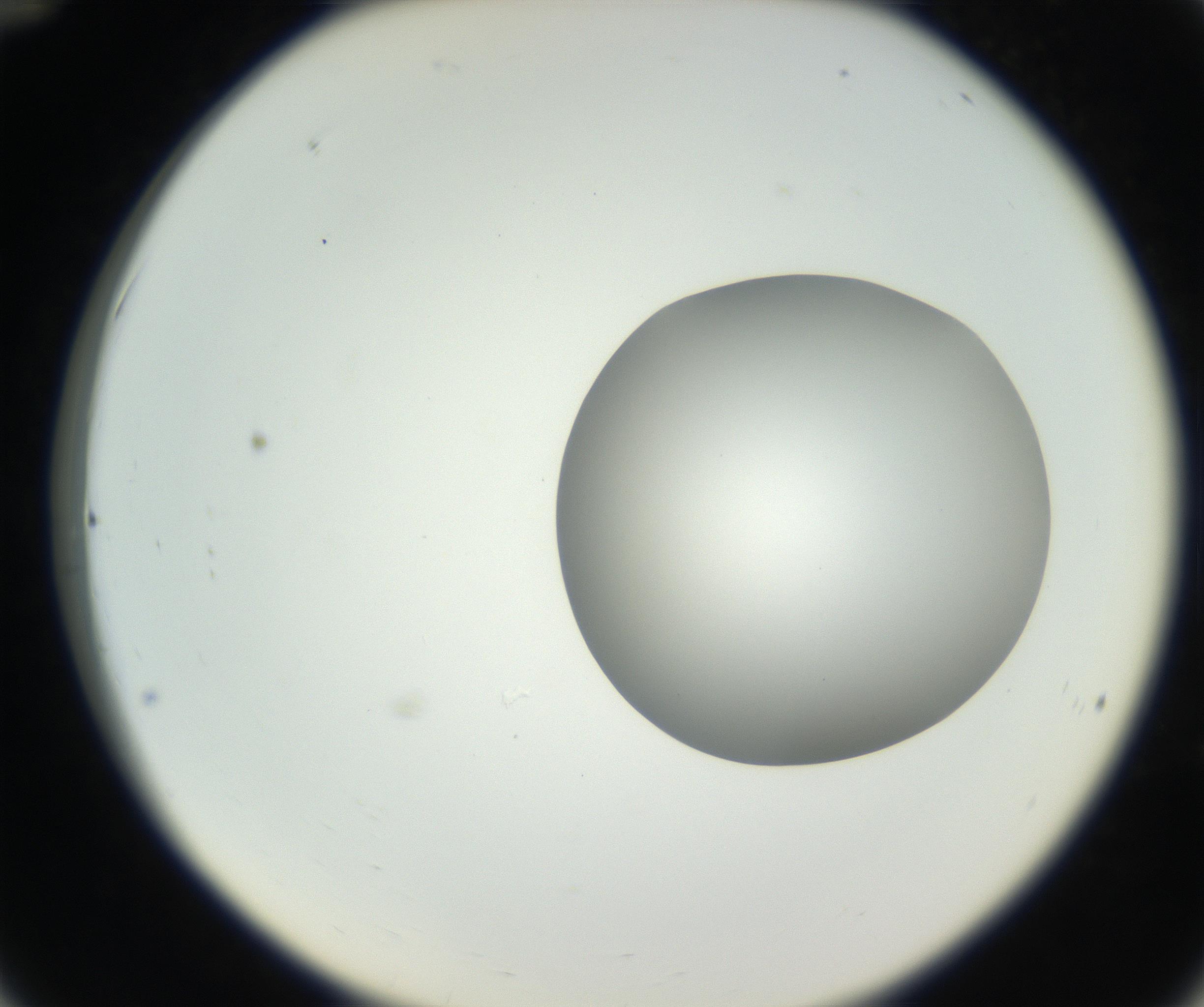 RI01_03_000_0212_Proj1_Clon1_MC_0000MC102636_003_160814_12_03_02_00_99_002_001_RAI.jpg
