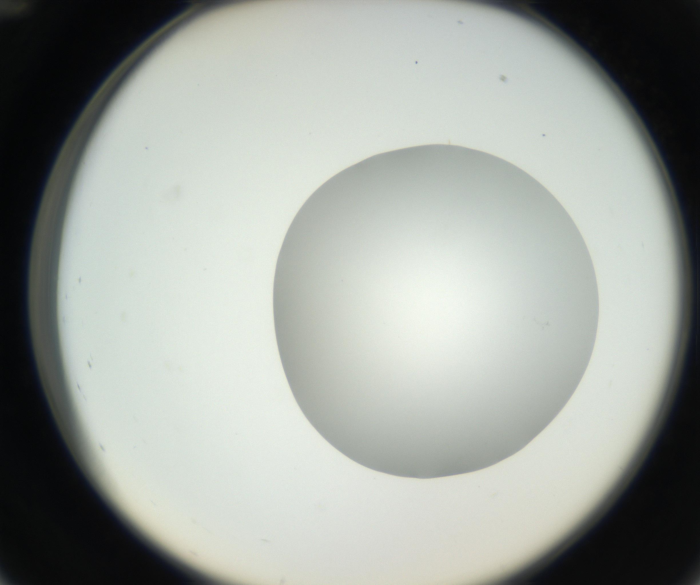 RI01_03_000_0212_Proj1_Clon1_MC_0000MC102636_003_160814_12_04_02_00_99_002_001_RAI.jpg