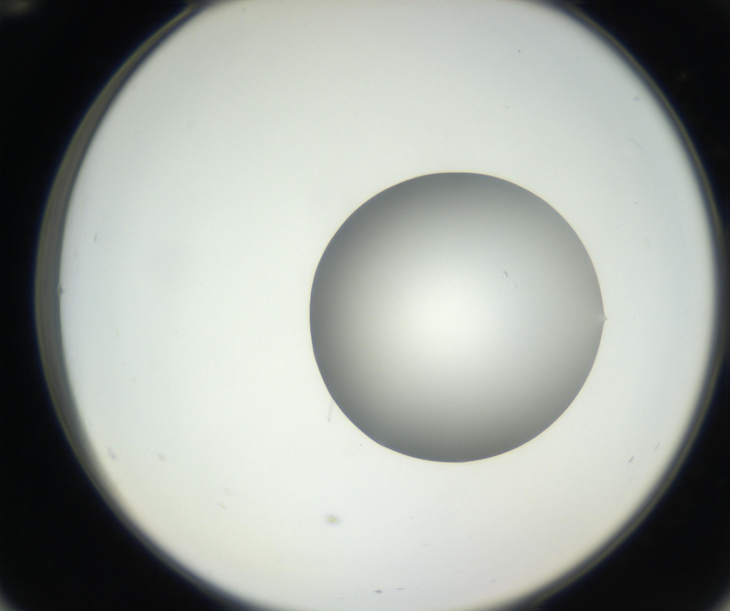 RI01_03_000_0212_Proj1_Clon1_MC_0000MC102636_003_160814_12_05_02_00_99_002_001_RAI.jpg