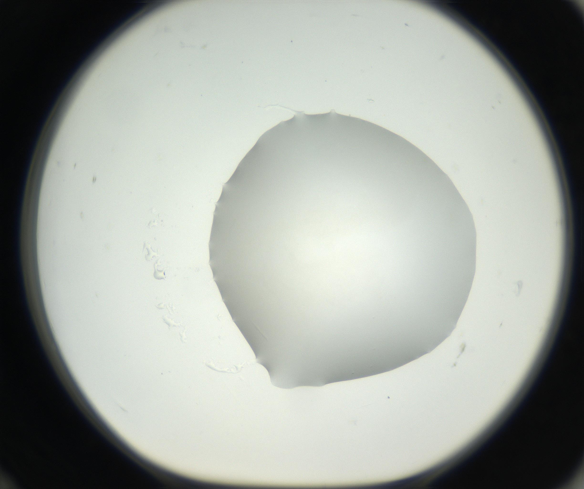 RI01_03_000_0212_Proj1_Clon1_MC_0000MC102636_003_160814_12_06_01_00_99_002_001_RAI.jpg