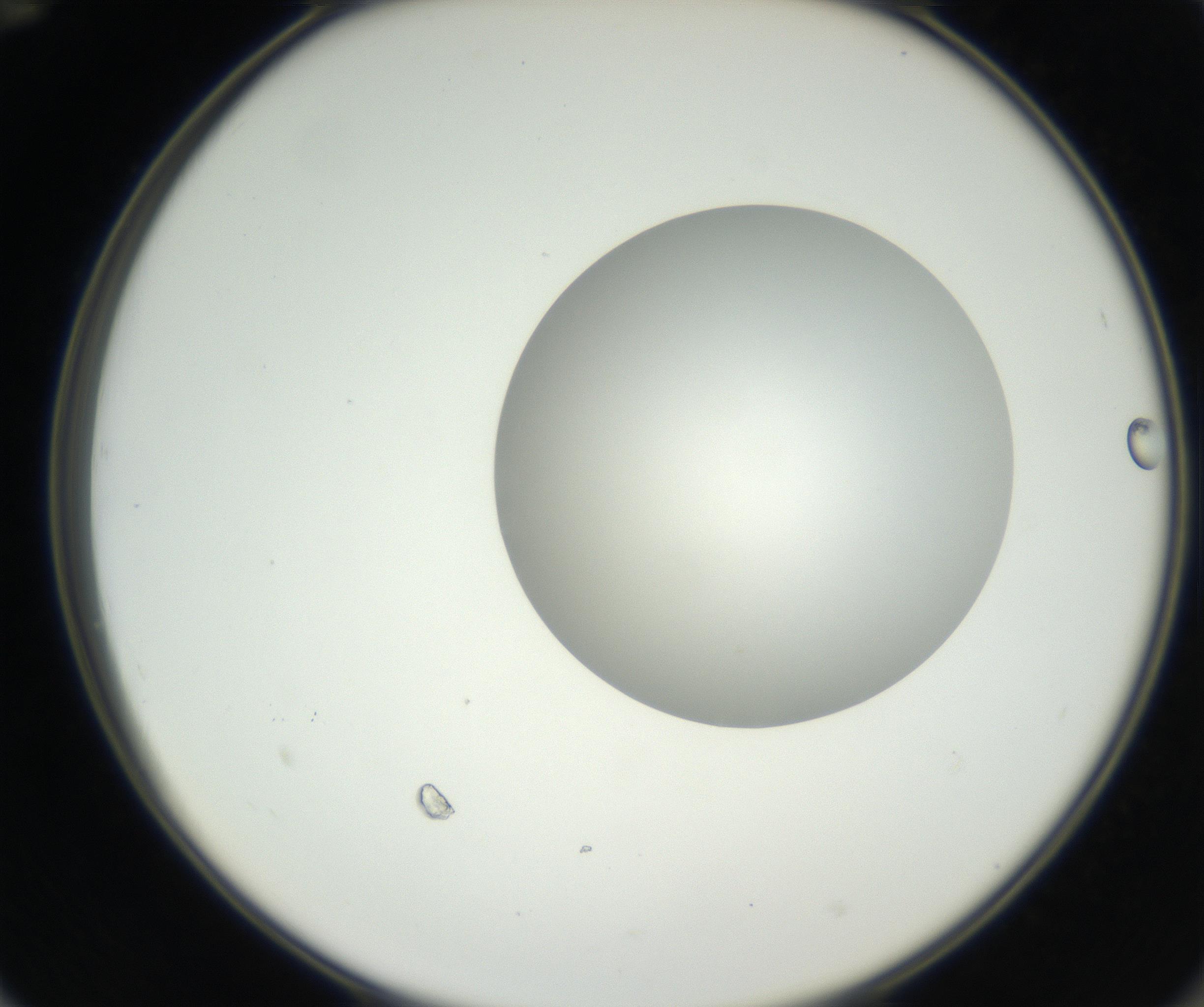 RI01_03_000_0212_Proj1_Clon1_MC_0000MC102636_003_160814_12_06_02_00_99_002_001_RAI.jpg