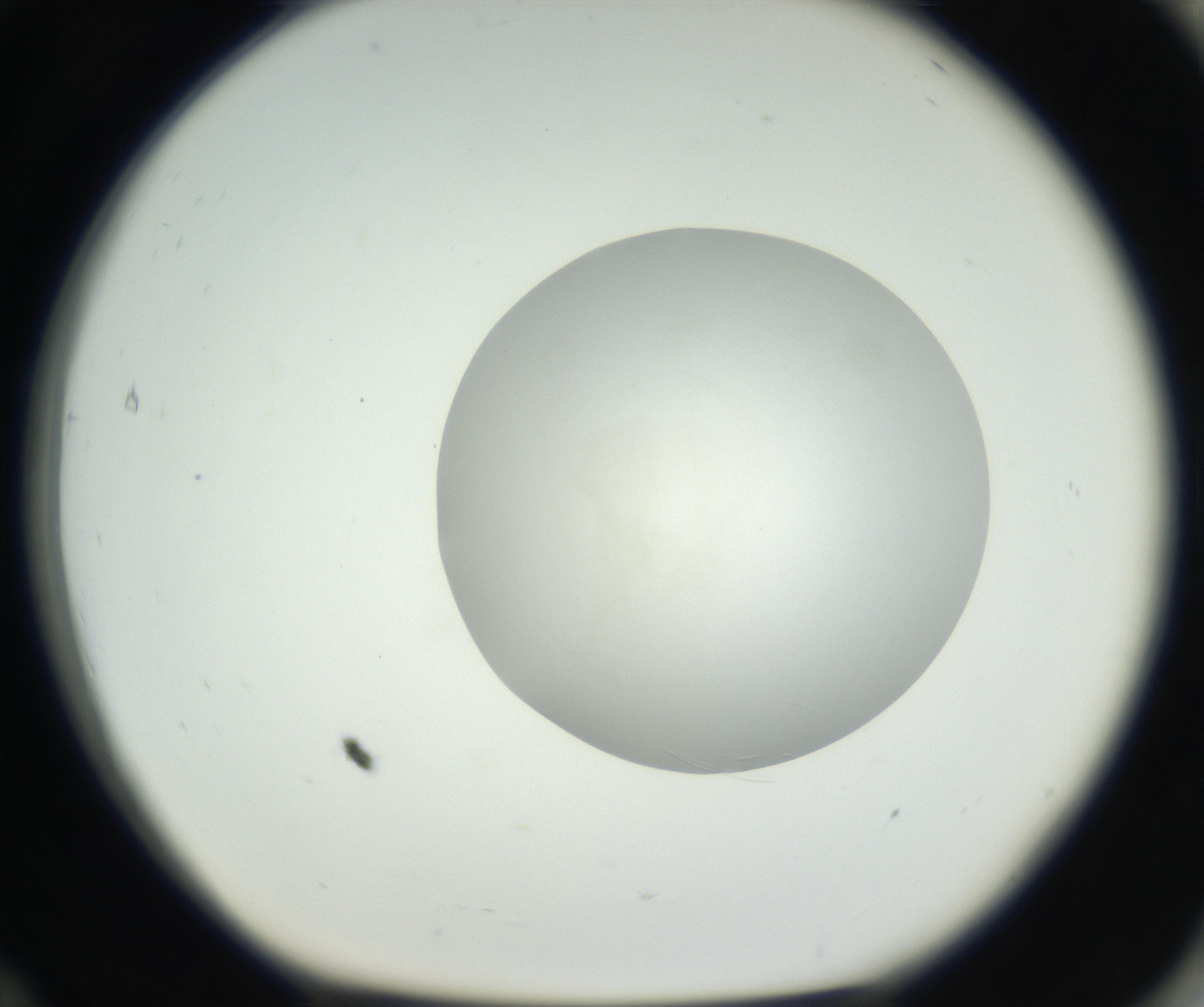 RI01_03_000_0212_Proj1_Clon1_MC_0000MC102636_003_160814_12_07_01_00_99_002_001_RAI.jpg