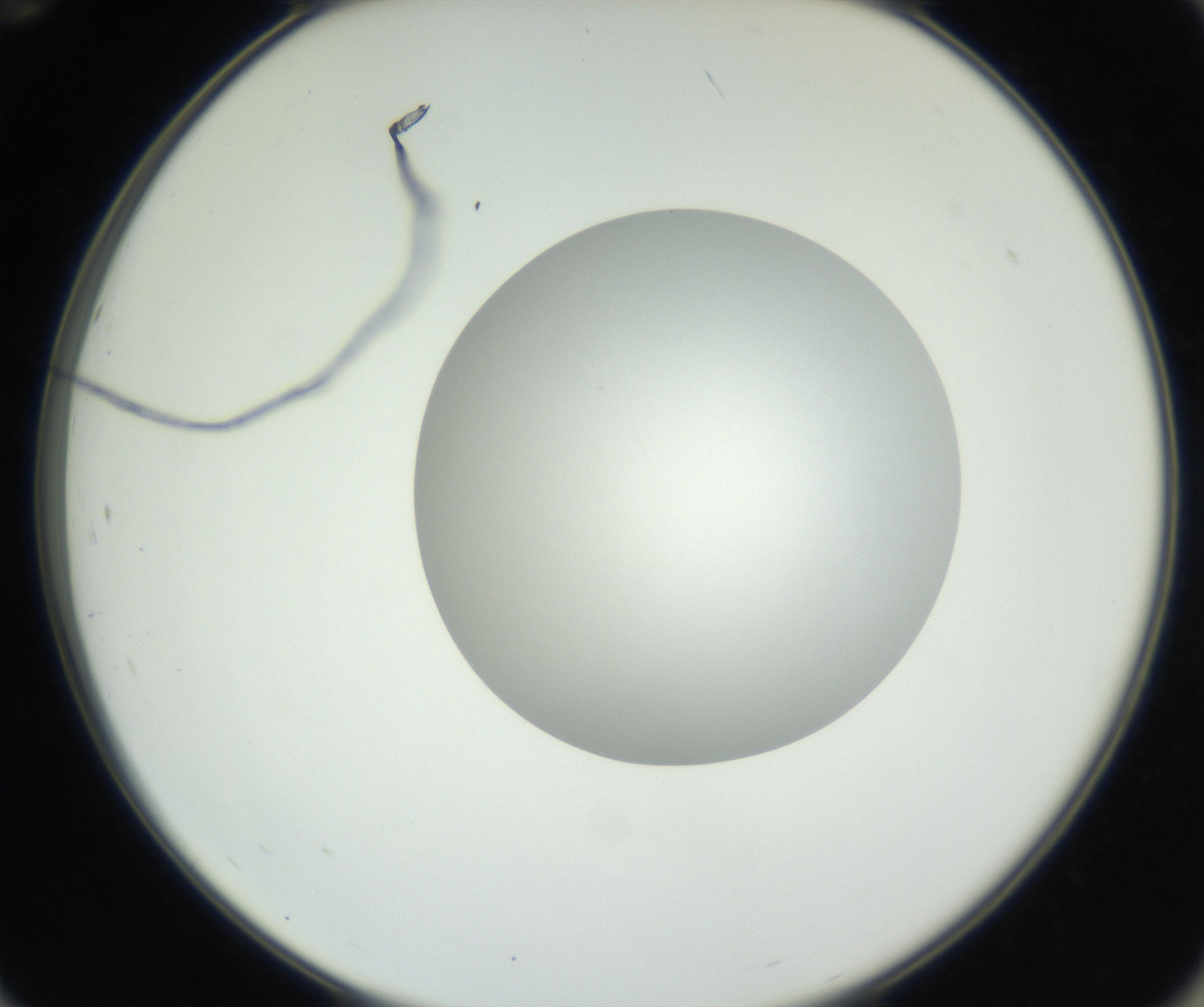 RI01_03_000_0212_Proj1_Clon1_MC_0000MC102636_003_160814_12_07_02_00_99_002_001_RAI.jpg