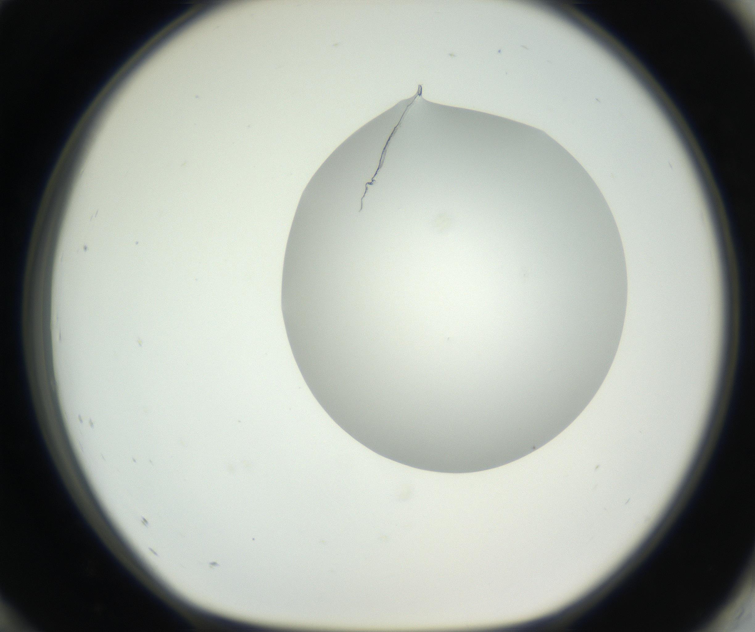 RI01_03_000_0212_Proj1_Clon1_MC_0000MC102636_003_160814_12_08_01_00_99_002_001_RAI.jpg