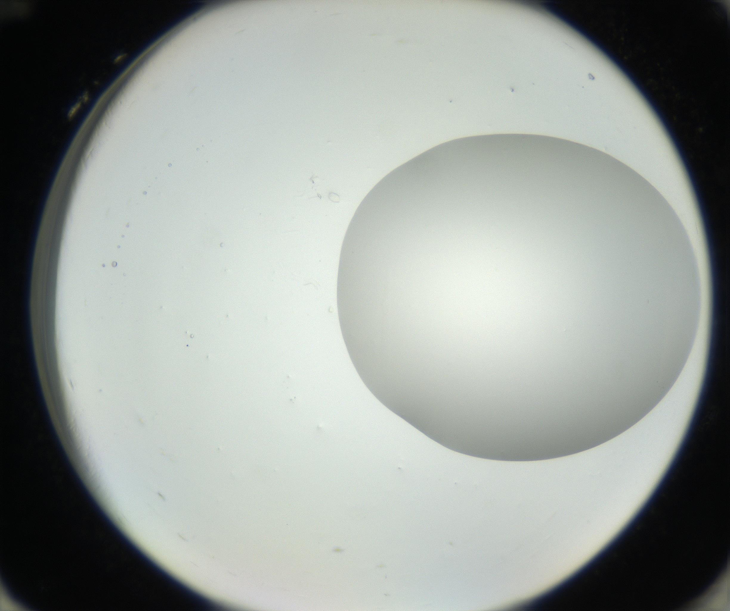 RI01_03_000_0212_Proj1_Clon1_MC_0000MC102636_003_160814_12_08_02_00_99_002_001_RAI.jpg