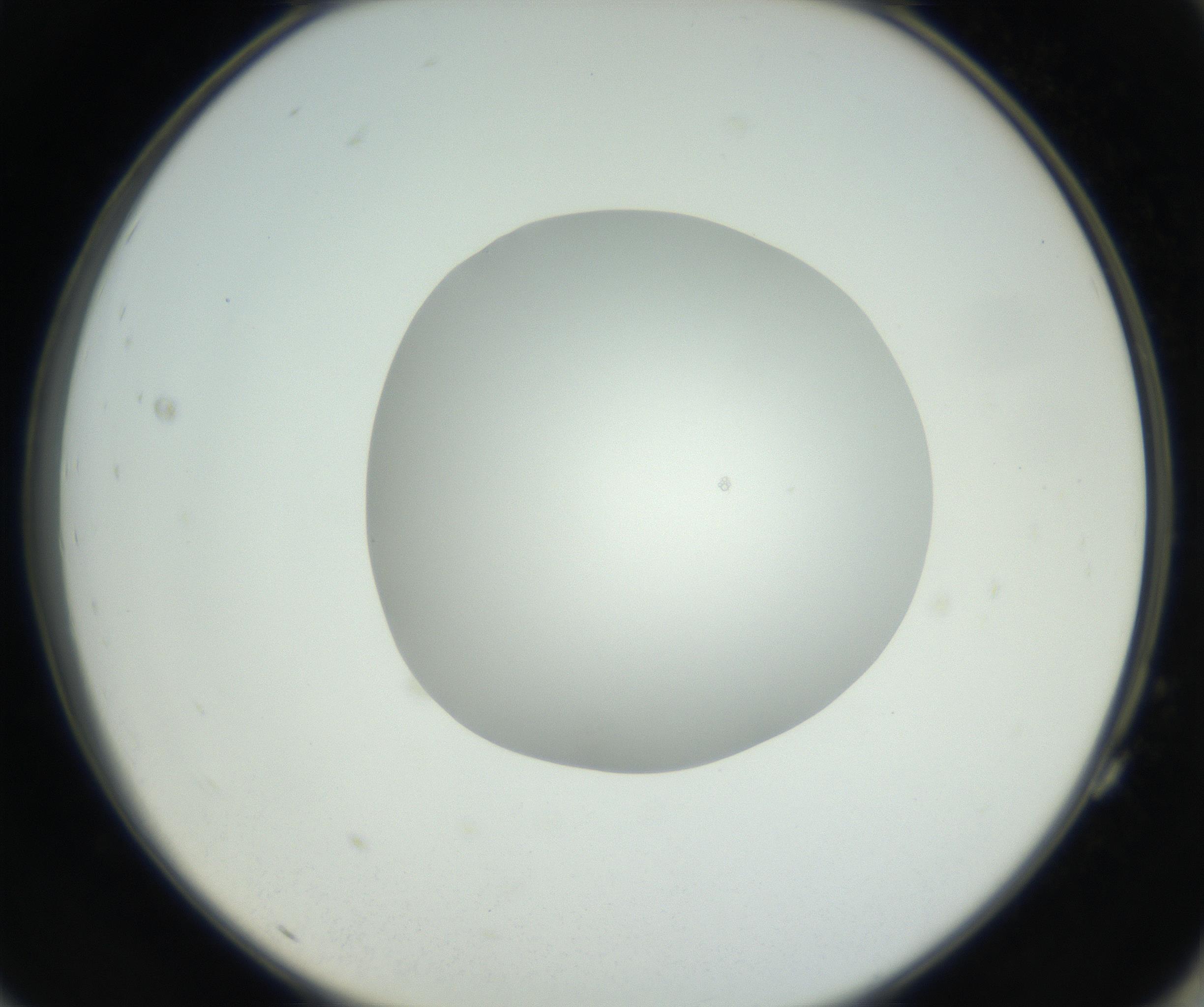 RI01_03_000_0212_Proj1_Clon1_MC_0000MC102636_007_160825_11_07_02_00_99_002_001_RAI.jpg